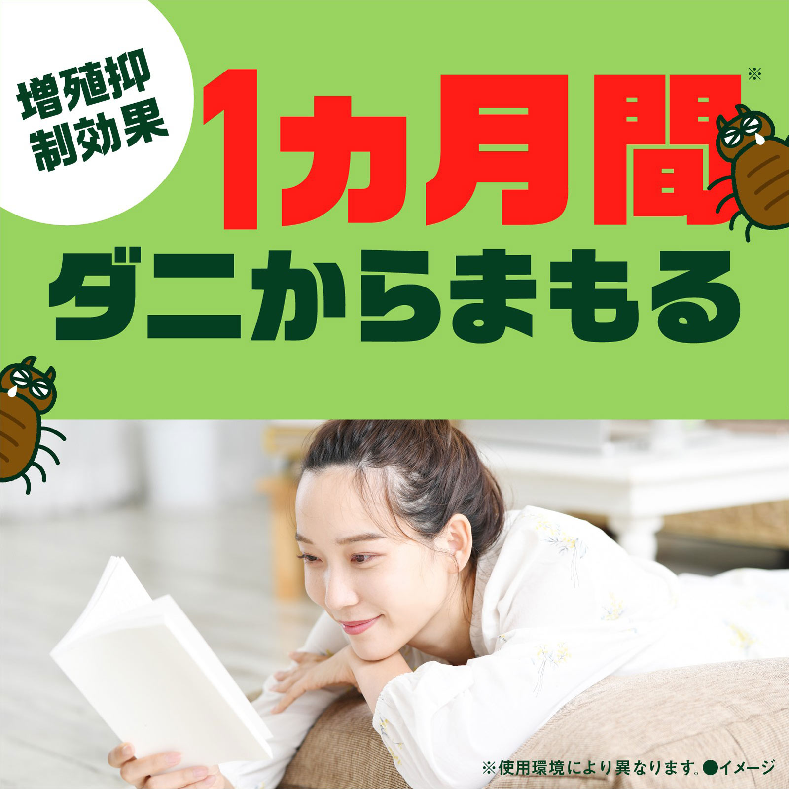 ダニアーススプレー ハーブの香り  寝具 ソファの ダニ 対策 除菌 消臭 ３００ｍｌ アース製薬 (医薬部外品)