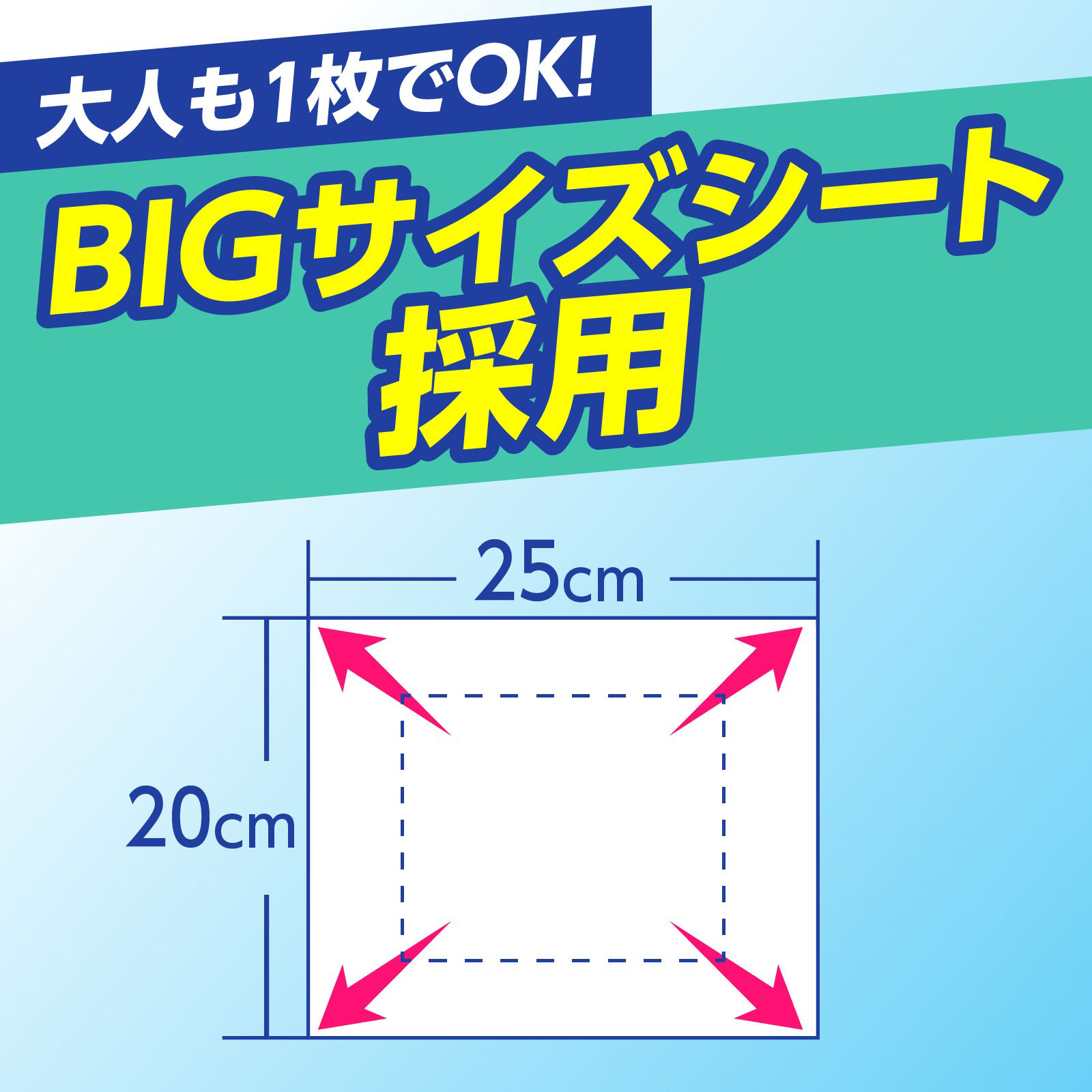 サラテクト シート 虫除け アウトドア キャンプ おでかけの 蚊 対策 海外旅行にも ２０枚 アース製薬 (医薬部外品)