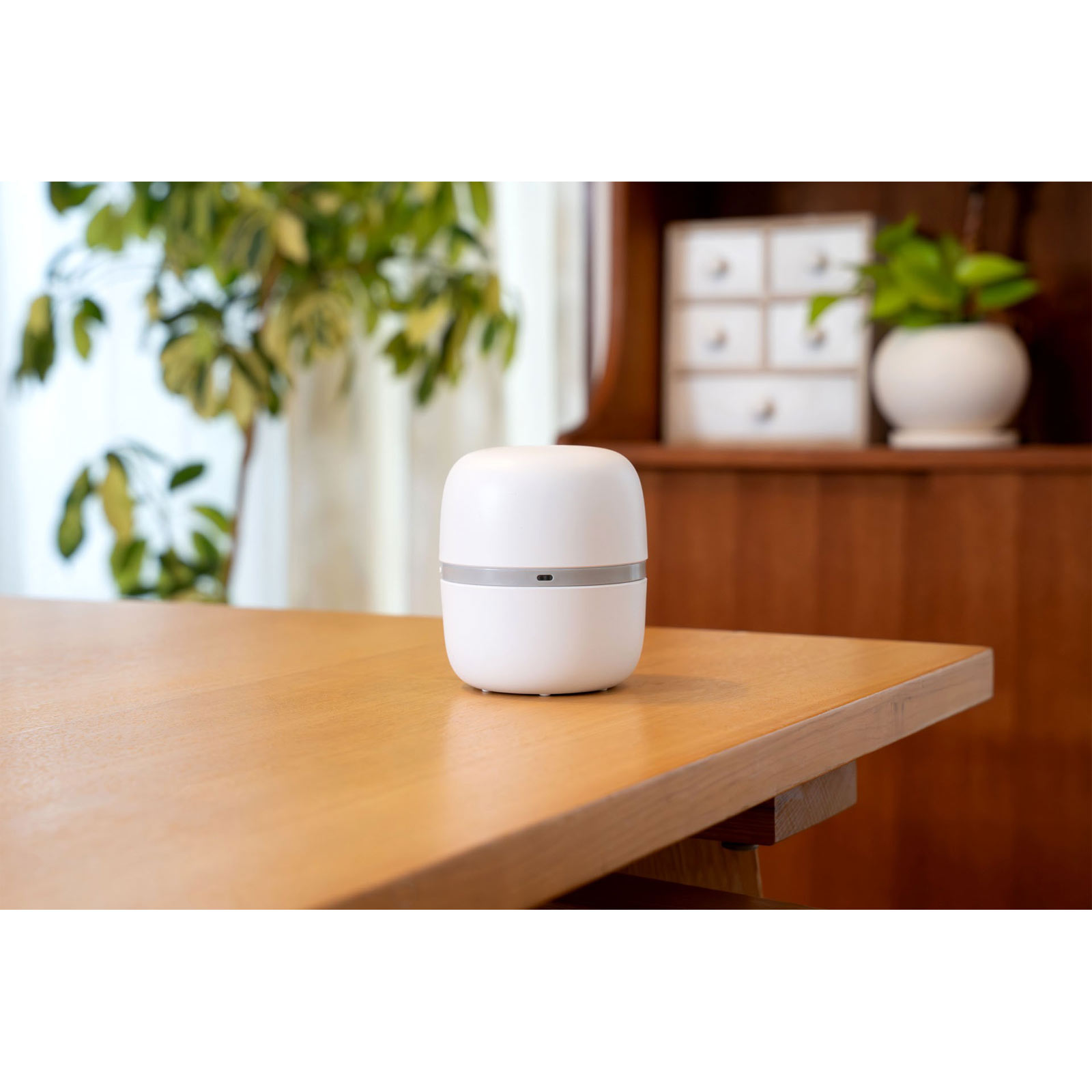 マモルーム　ダニ用　１４４０時間用　（６０日）　セット　ダニよけ　対策　虫除け 器具＋詰替 アース製薬