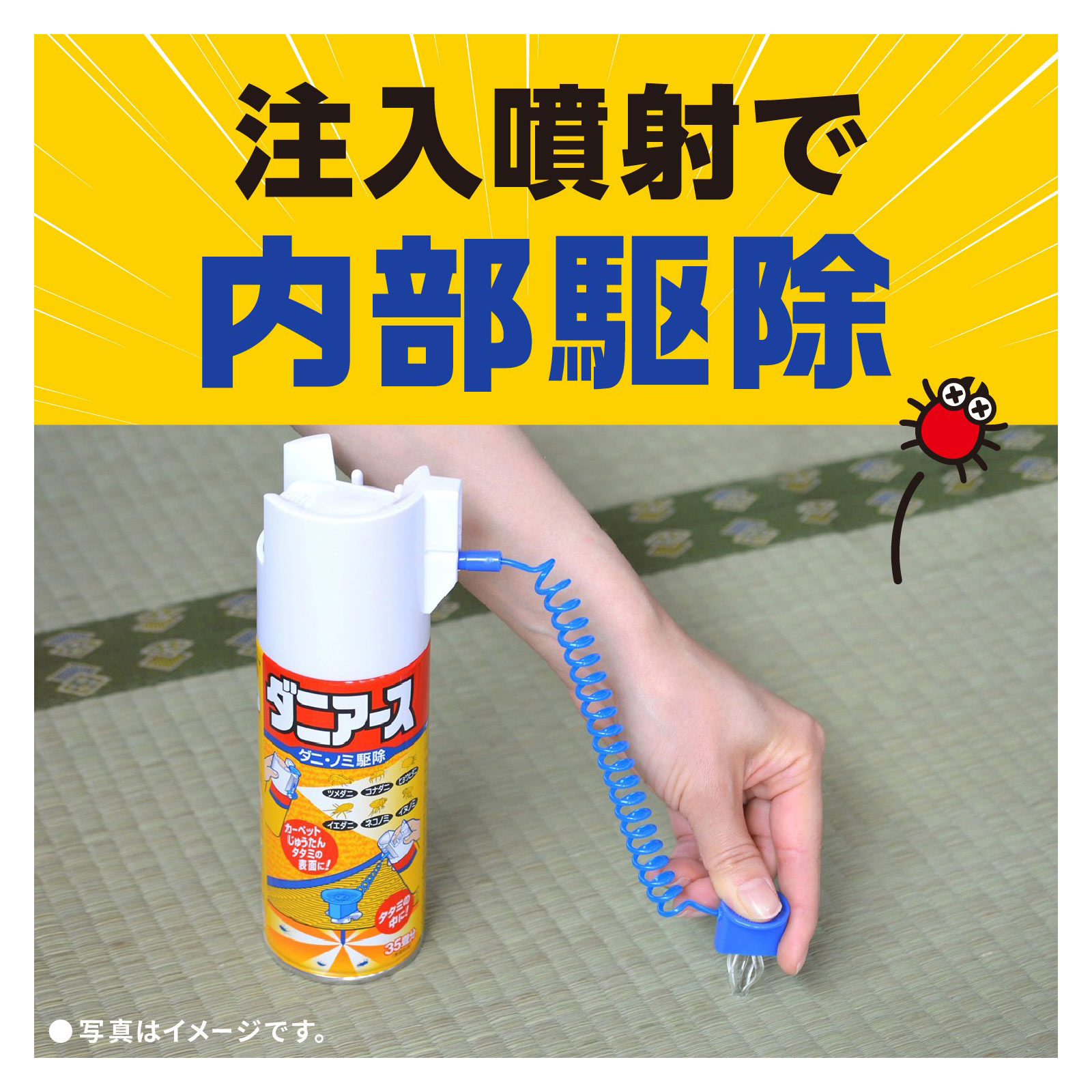 ダニアース　カーペット・タタミ用　ダニ駆除　スプレー ３００ｍｌ アース製薬 (医薬部外品)