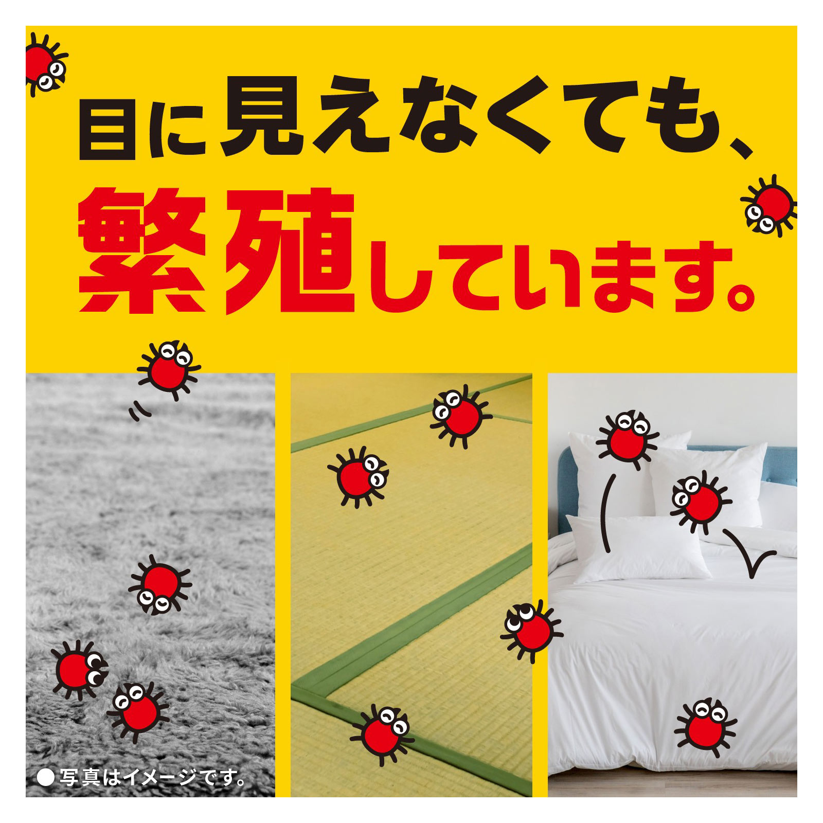 ダニアース　カーペット・タタミ用　ダニ駆除　スプレー ３００ｍｌ アース製薬 (医薬部外品)