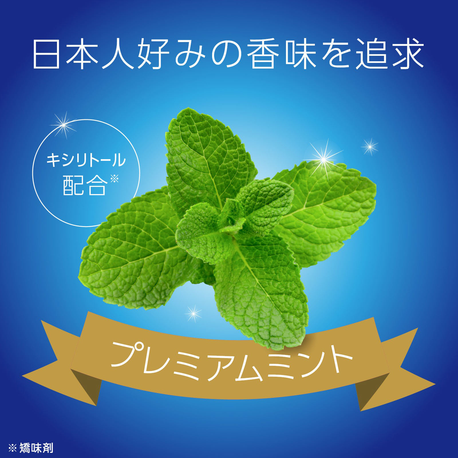 モンダミン プレミアムケア 大容量パウチ マウスウォッシュ つめかえ用 １７００ｍｌ アース製薬 (医薬部外品)