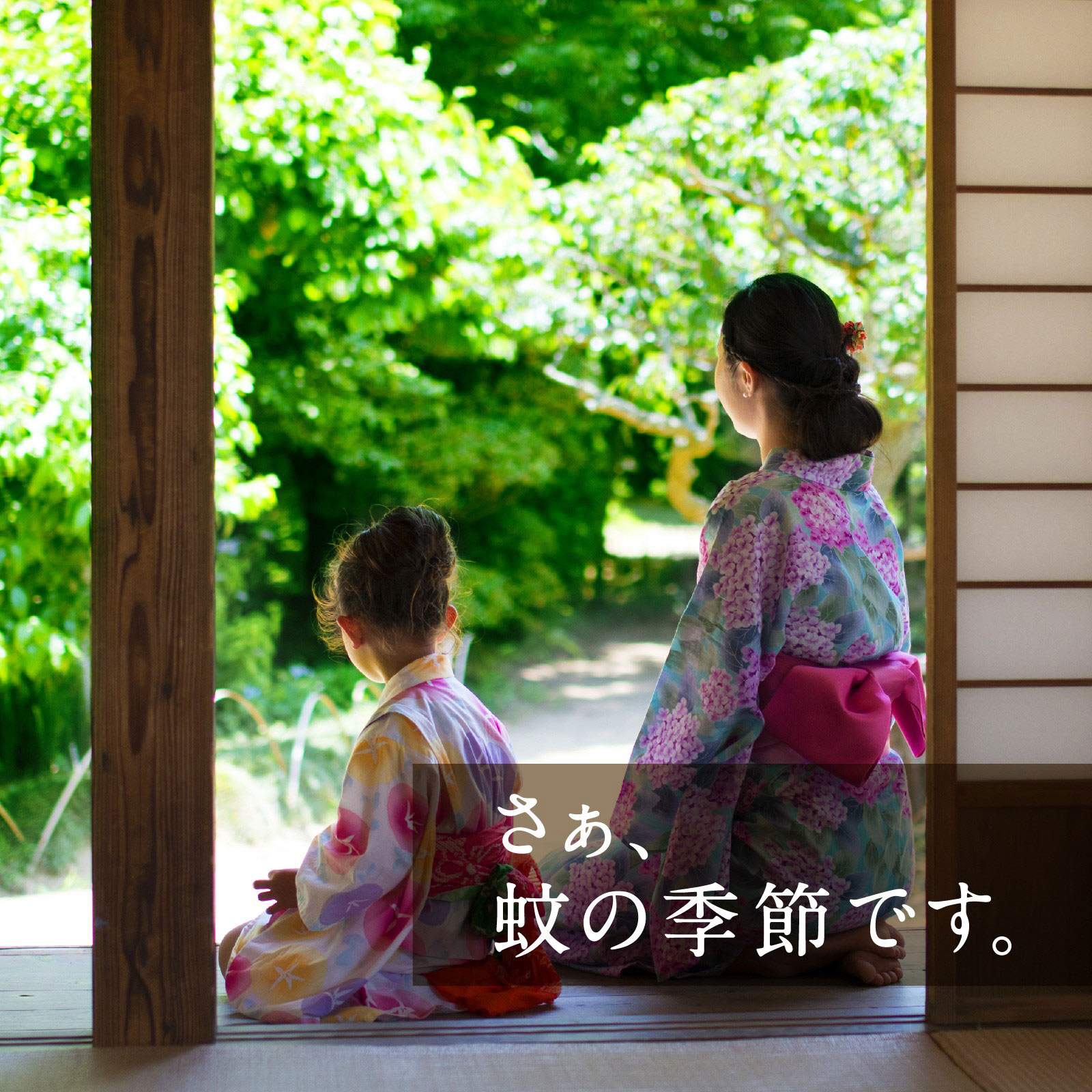 アースノーマット 取替えボトル９０日用 無香料  液体蚊取り 蚊の 侵入対策 殺虫剤 ４５ｍｌ×２ アース製薬 (医薬部外品)