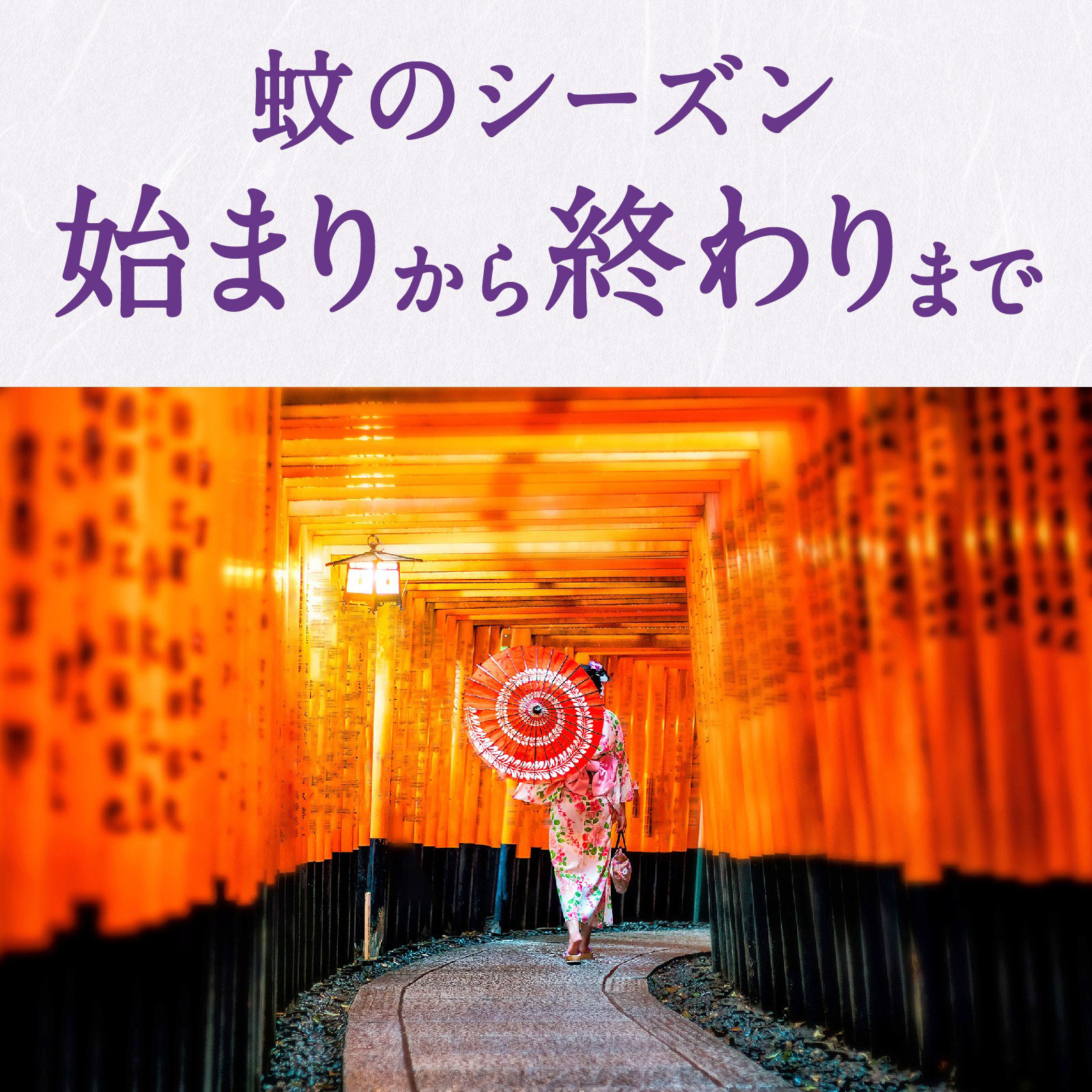 アースノーマット 取替えボトル９０日用 無香料  液体蚊取り 蚊の 侵入対策 殺虫剤 ４５ｍｌ×２ アース製薬 (医薬部外品)