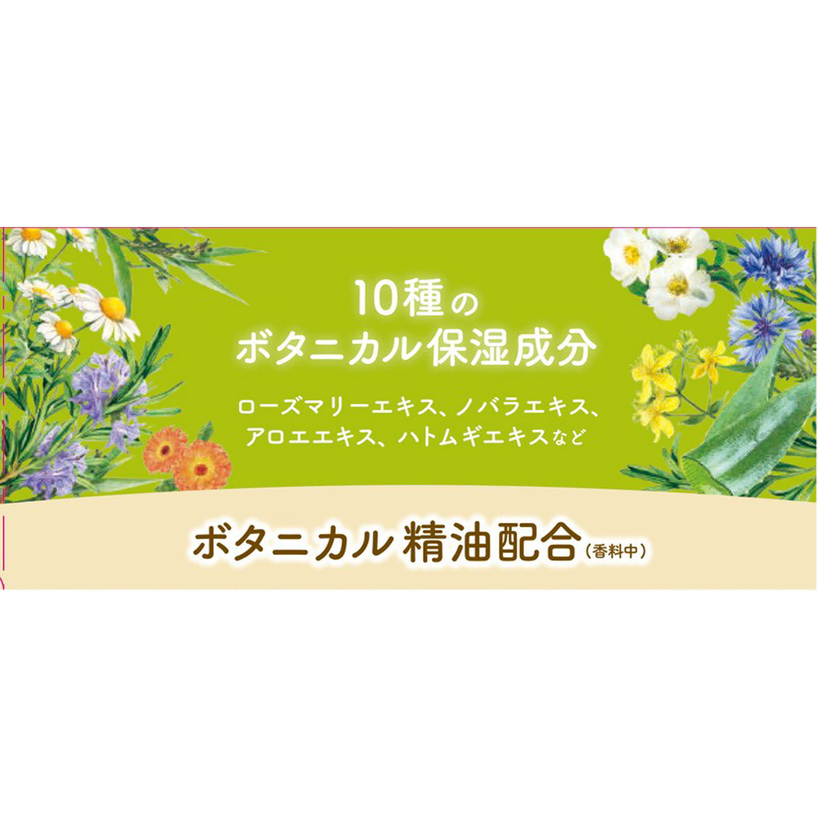 温泡　ボタニカルタイム １２錠 アース製薬 (医薬部外品)