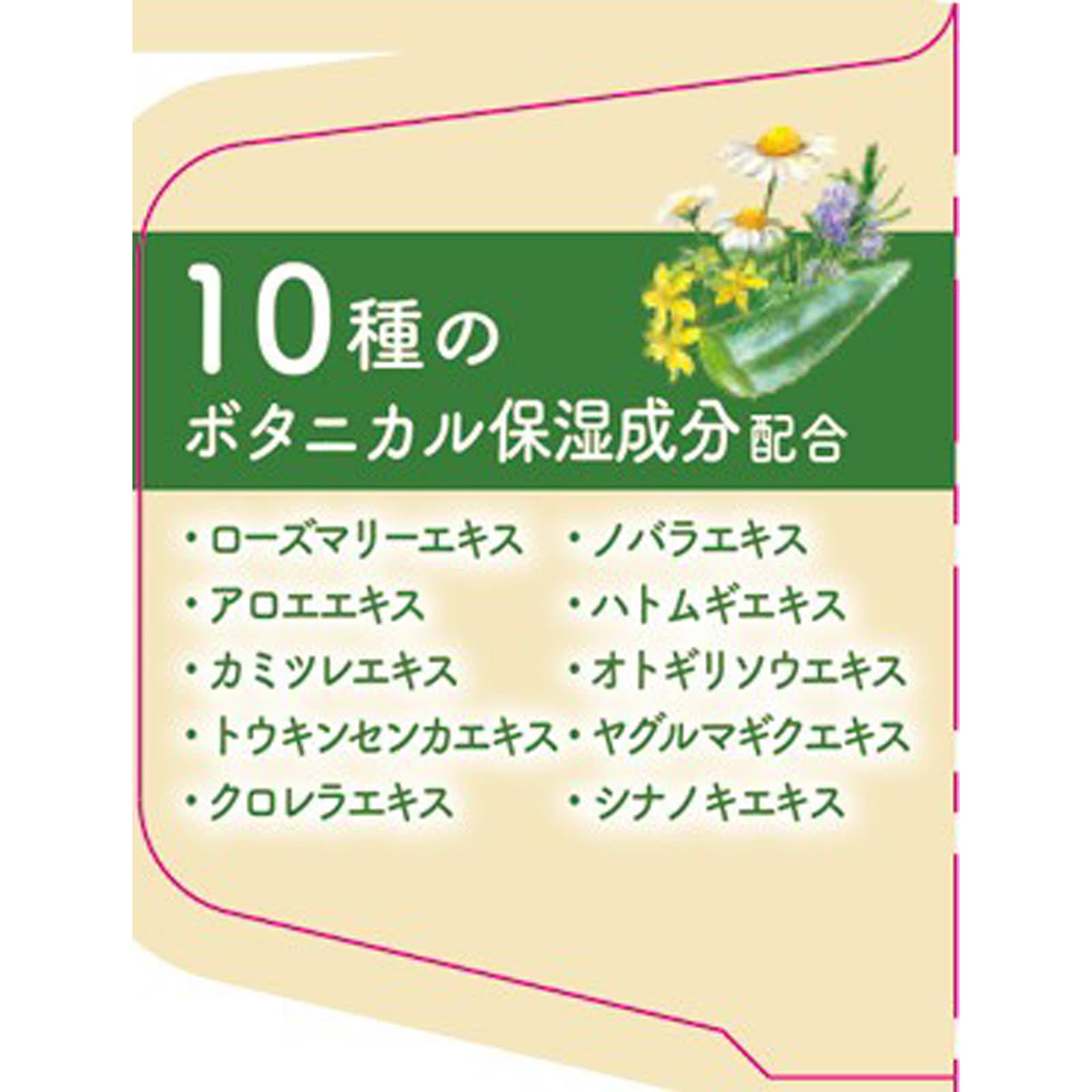 温泡　ボタニカルタイム １２錠 アース製薬 (医薬部外品)