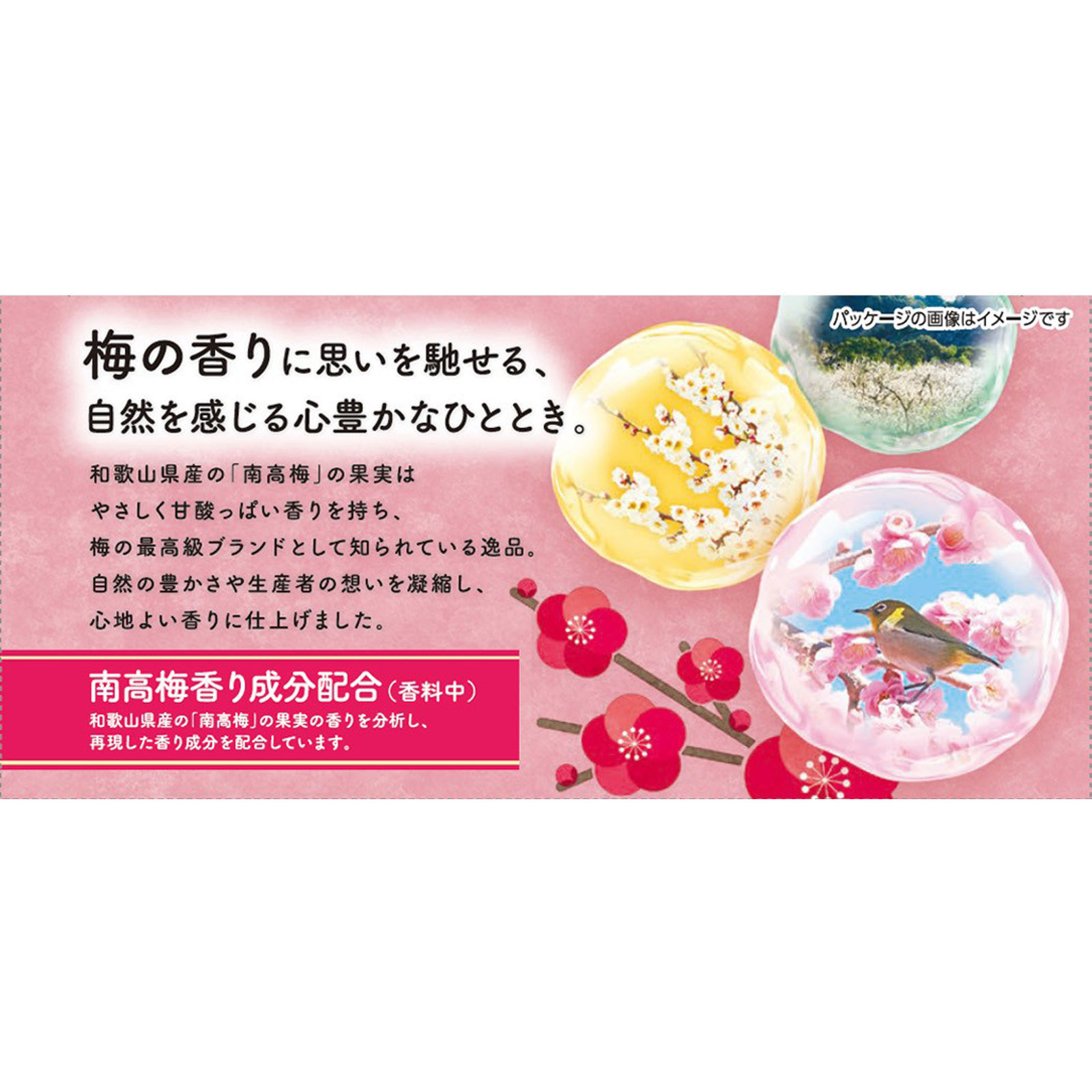 温泡ＯＮＰＯこだわり梅 ２０錠 アース製薬 (医薬部外品)