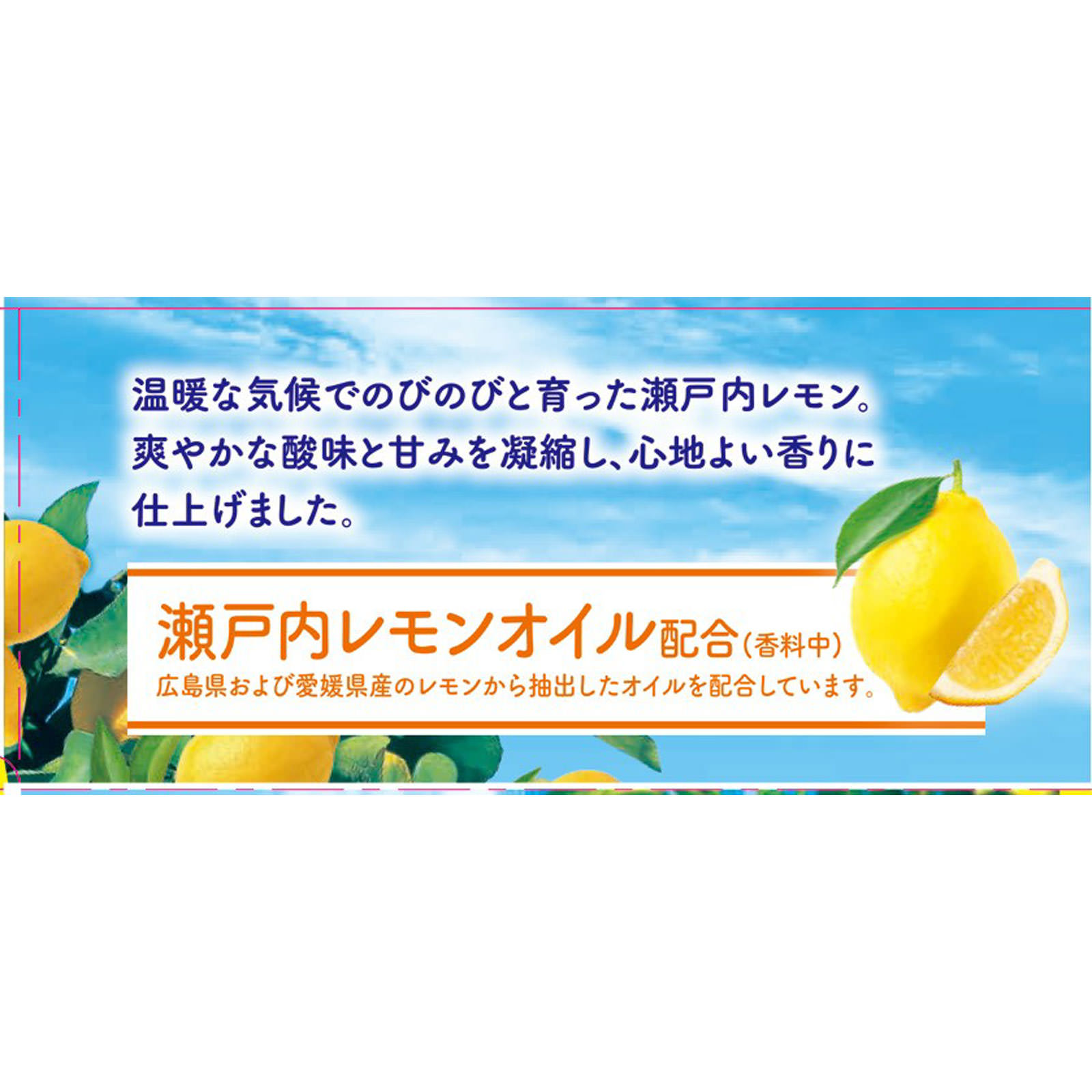 温泡 瀬戸内レモン 炭酸 入浴剤 詰め合わせ アソート １２錠 アース製薬 (医薬部外品)