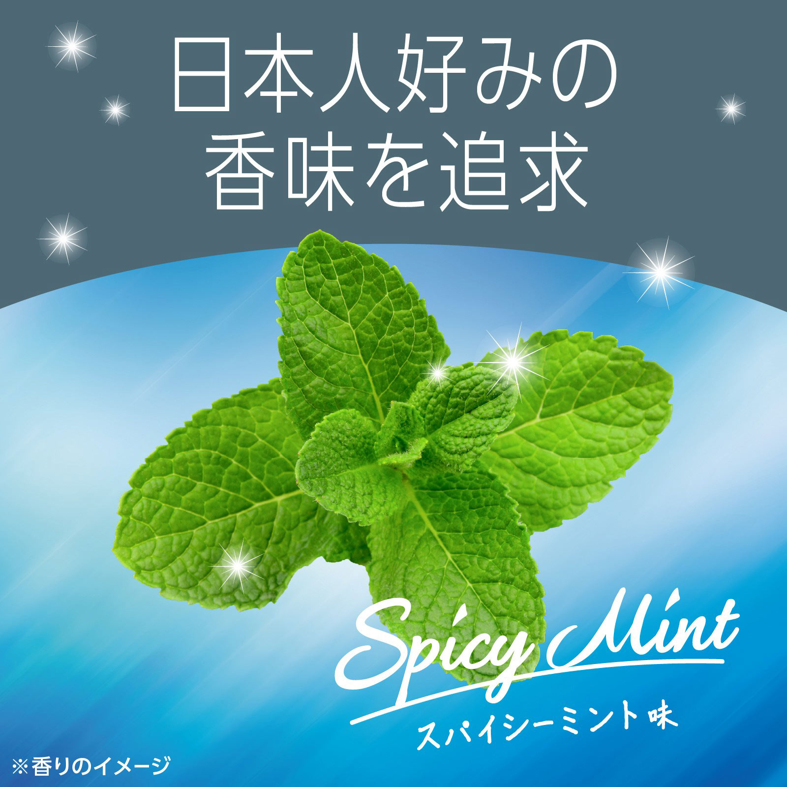 モンダミン スパイシーミント マウスウォッシュ １０００ｍｌ アース製薬