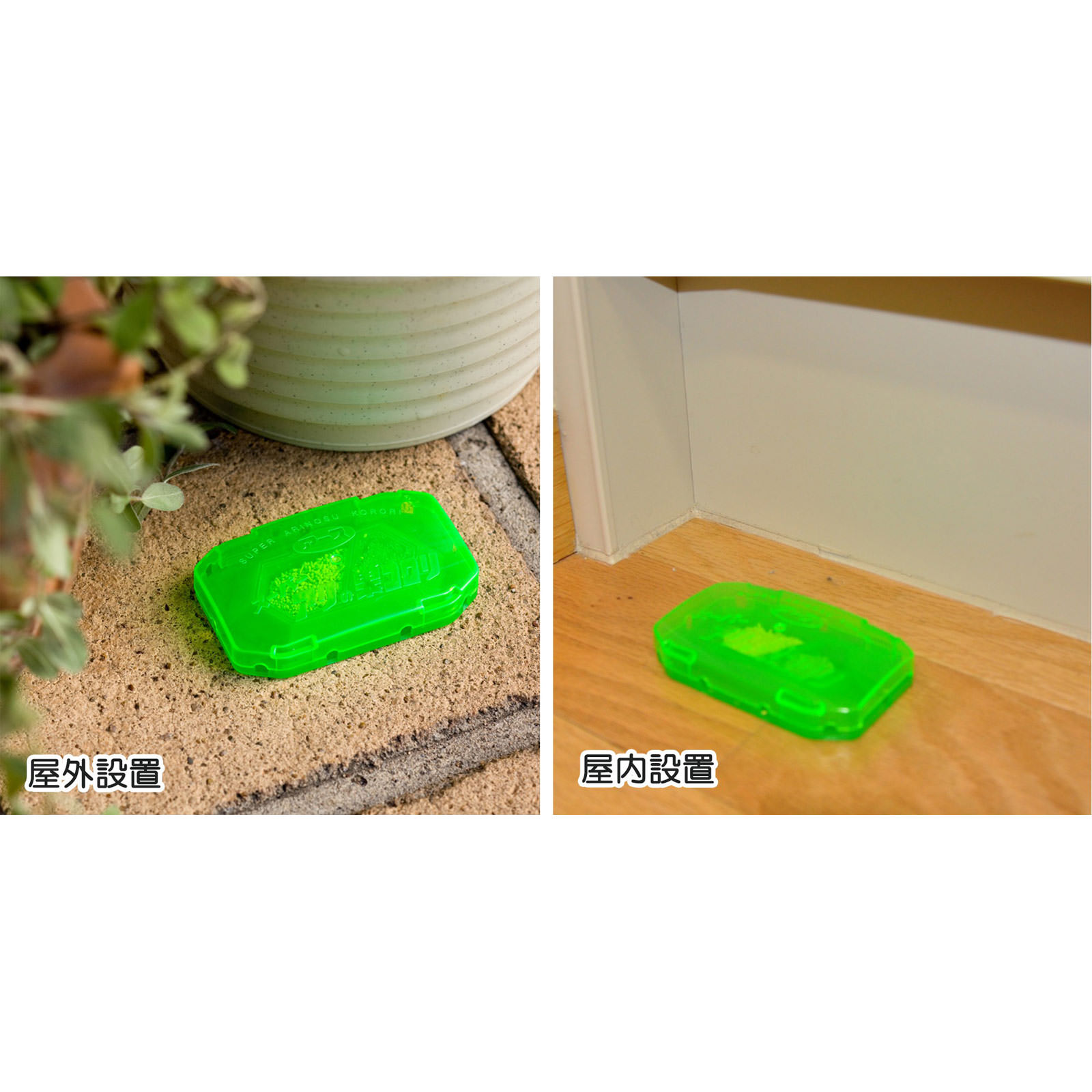 スーパー アリの巣コロリ 蟻 駆除用 毒餌剤 巣ごと 退治 ２．１ｇ×２ アース製薬
