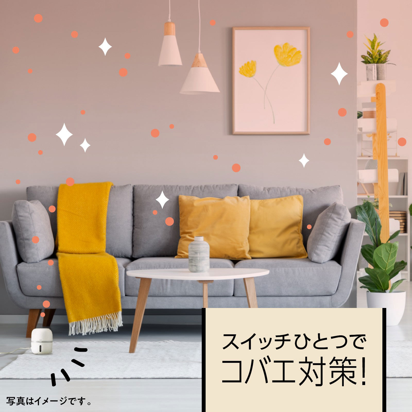 マモルーム コバエ用 2ヵ月用セット 空間用 虫除け コバエ対策 器具+詰替 アース製薬