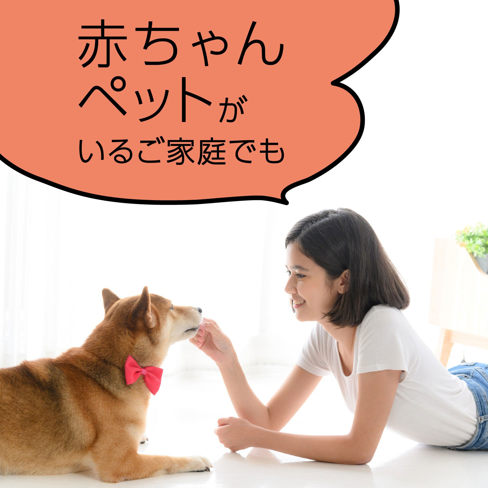 マモルーム コバエ用 2ヵ月用セット 空間用 虫除け コバエ対策 器具+詰替 アース製薬