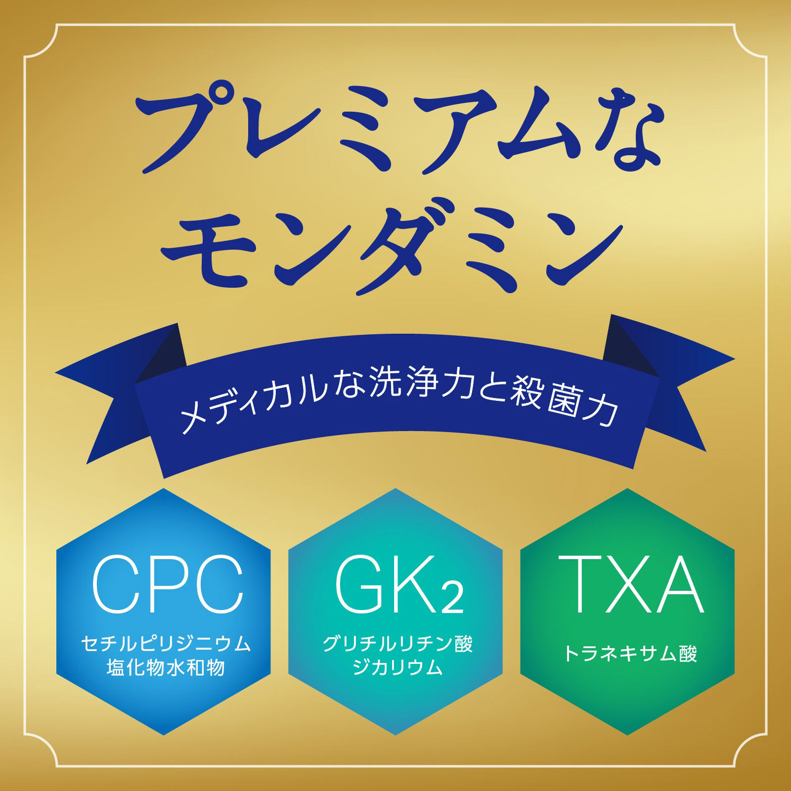 モンダミン プレミアムケア 大容量 マウスウォッシュ １３００ｍｌ×２ アース製薬 (医薬部外品)