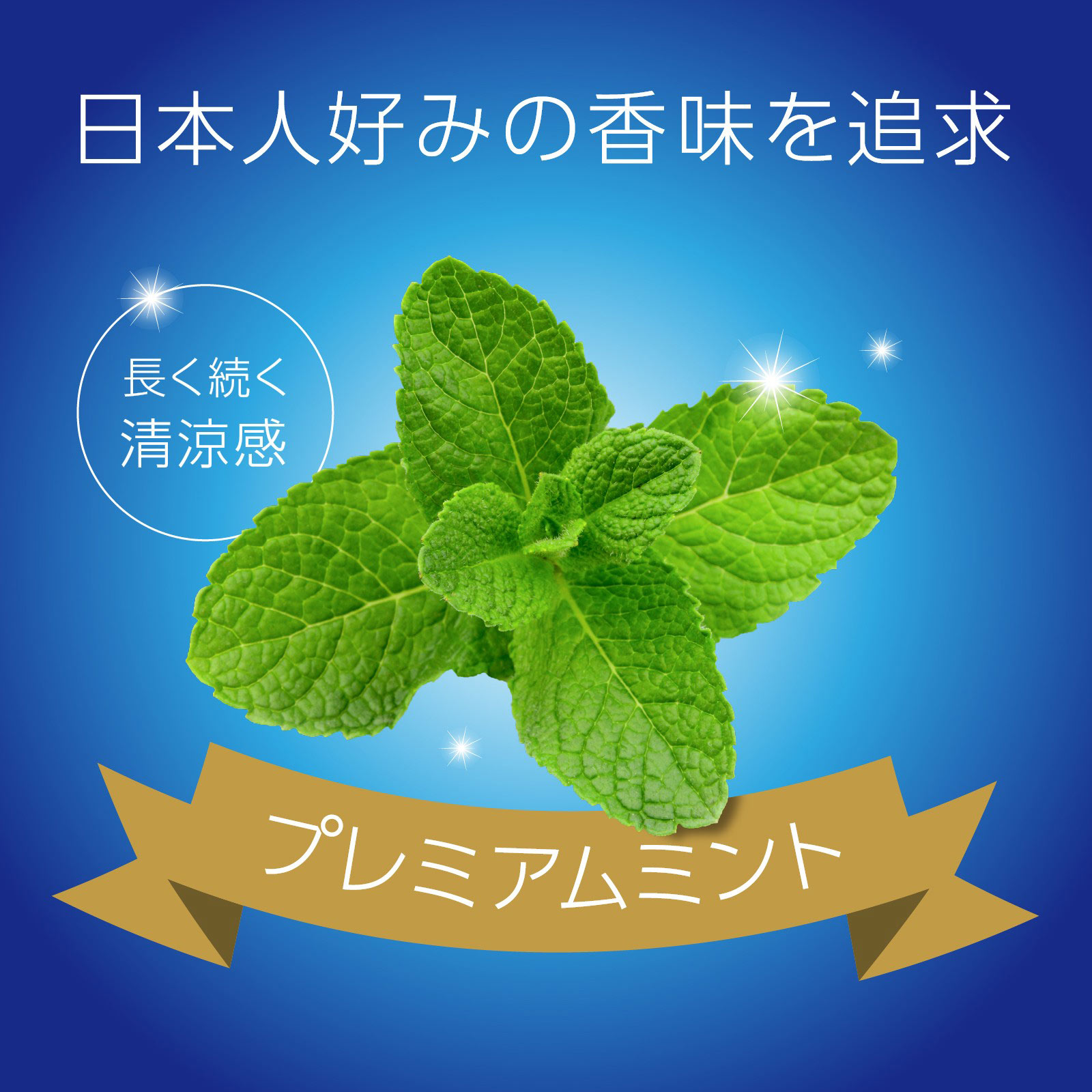モンダミン プレミアムケア 大容量 マウスウォッシュ １３００ｍｌ×２ アース製薬 (医薬部外品)