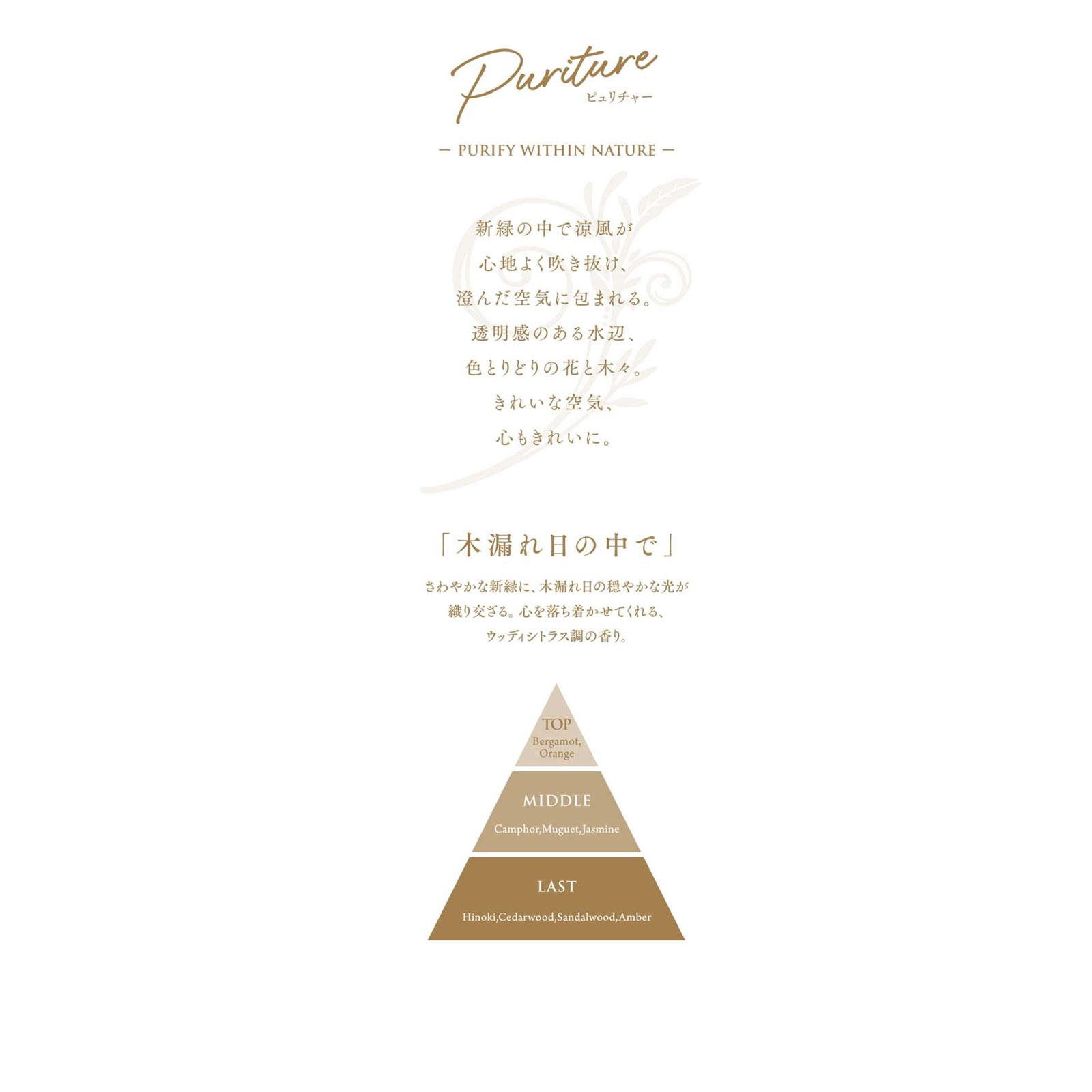 スッキーリ！ コルク＋スティック ピュリチャー 木漏れ日の中で 芳香剤 リードディフューザー １００ｍｌ アース製薬