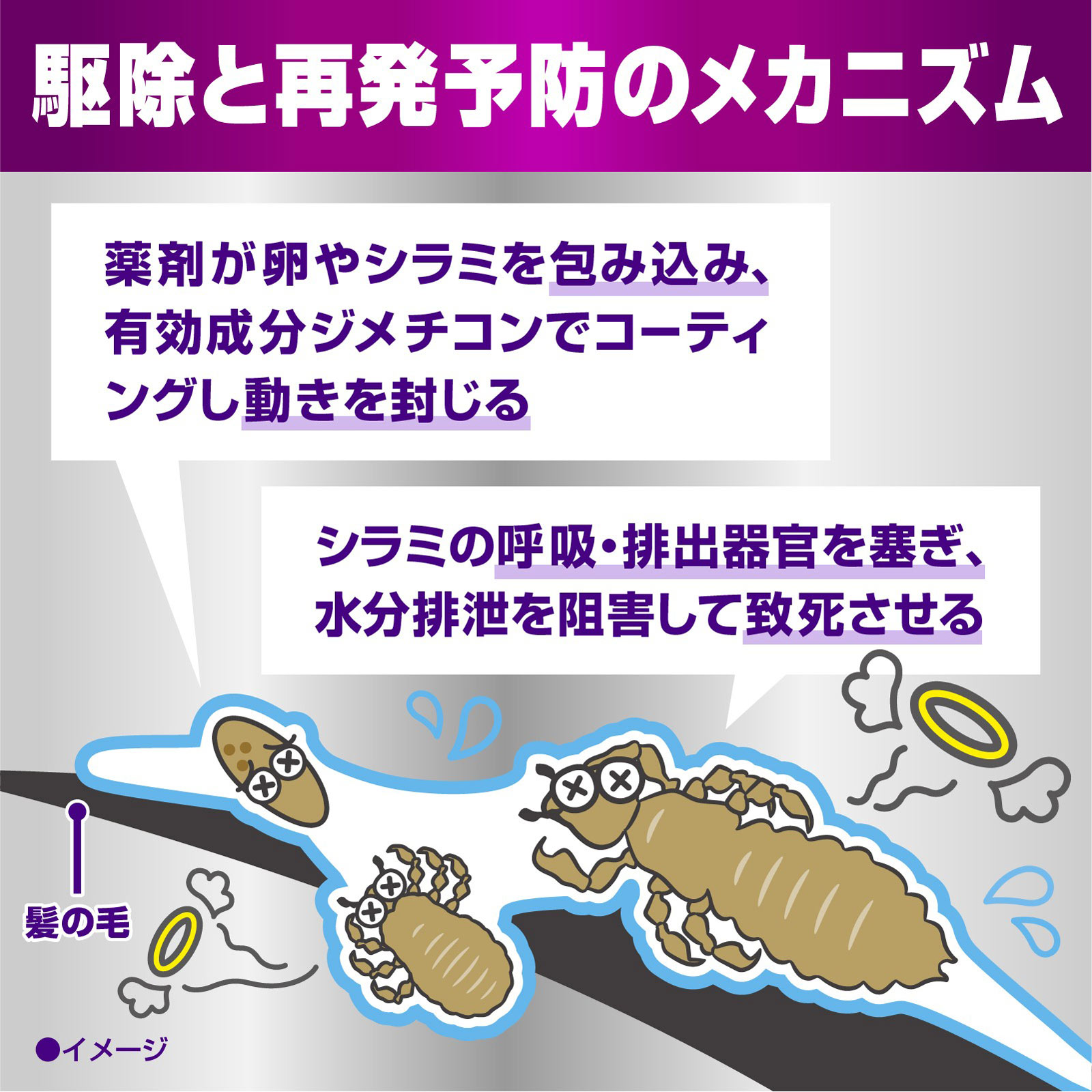 アース シラミとり ローション シラミ駆除 | マツキヨココカラ
