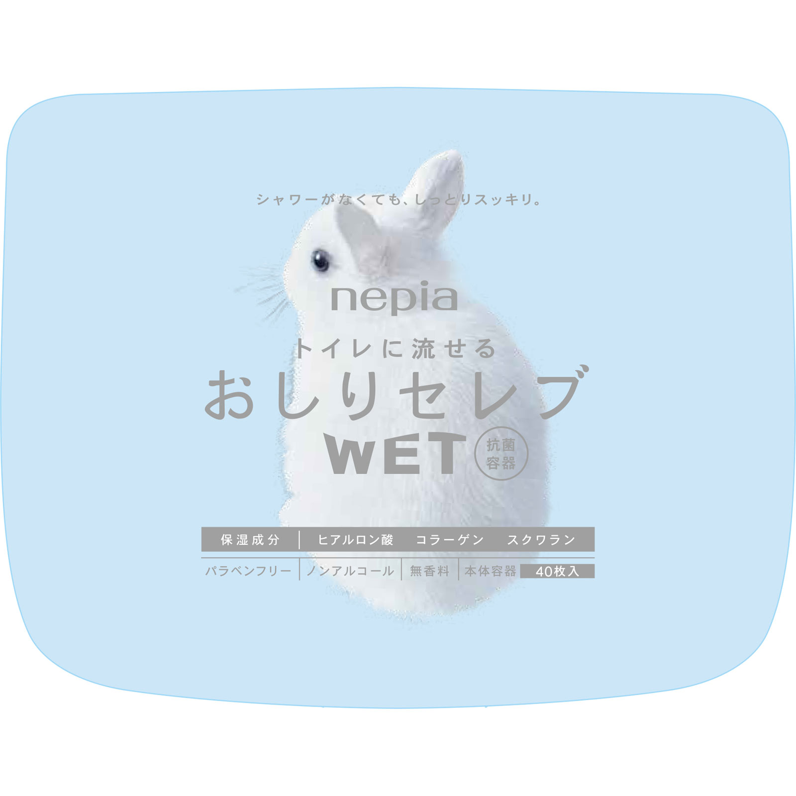 おしりセレブＷＥＴ 本体 ４０枚 王子ネピア