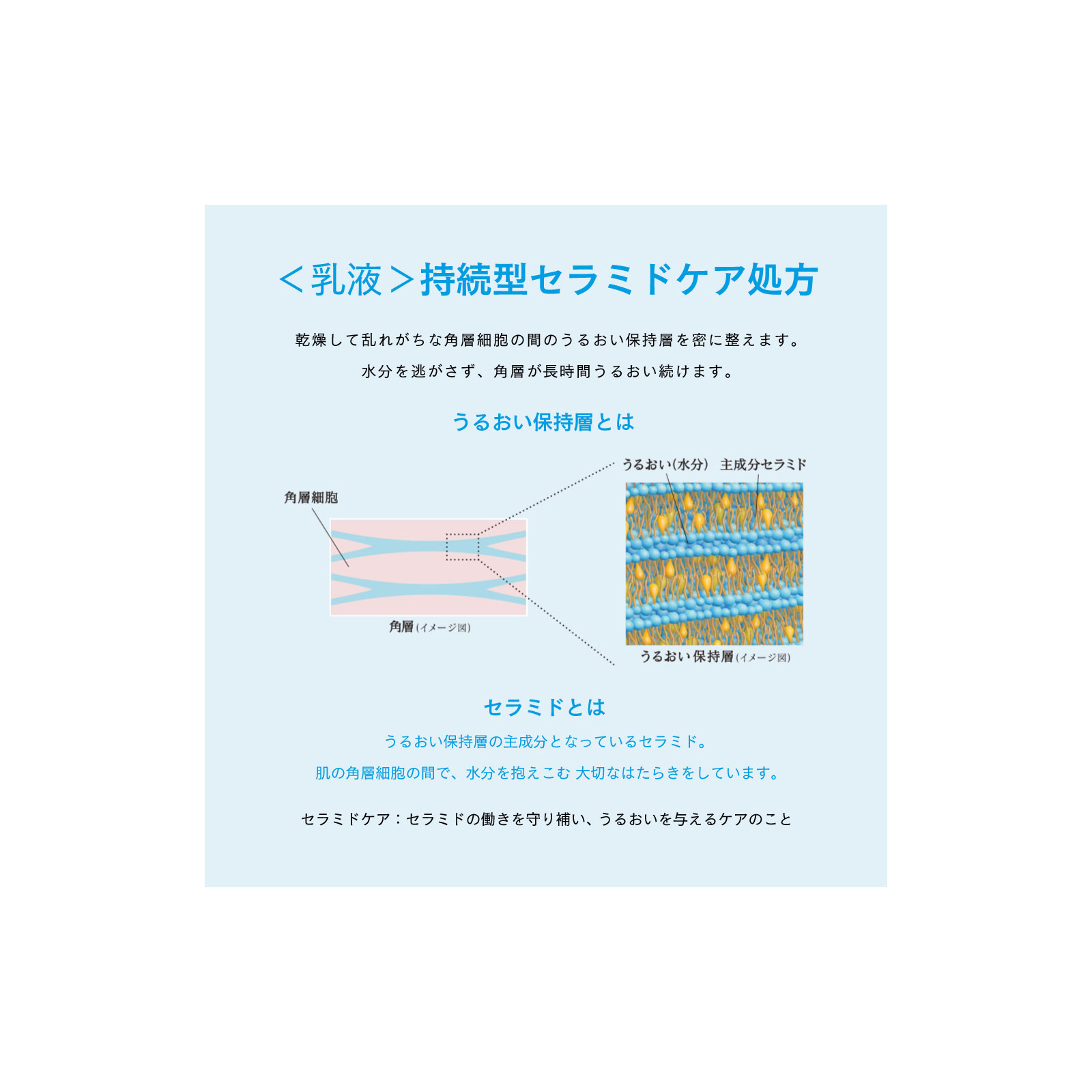 ソフィーナボーテ 高保湿乳液 とてもしっとり つけかえ用 60G 花王ソフィーナ