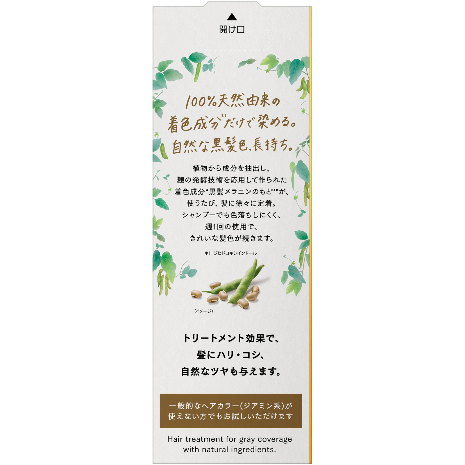 ブローネ　ナチュリラ　カラーＴＲ　ブラック　本体 １５５ｇ 花王