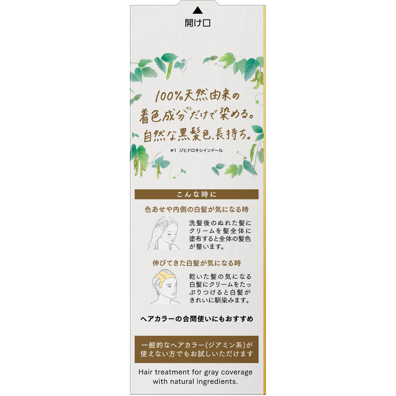 ブローネ ナチュリラ カラートリートメント ブラック 付替 155g 花王