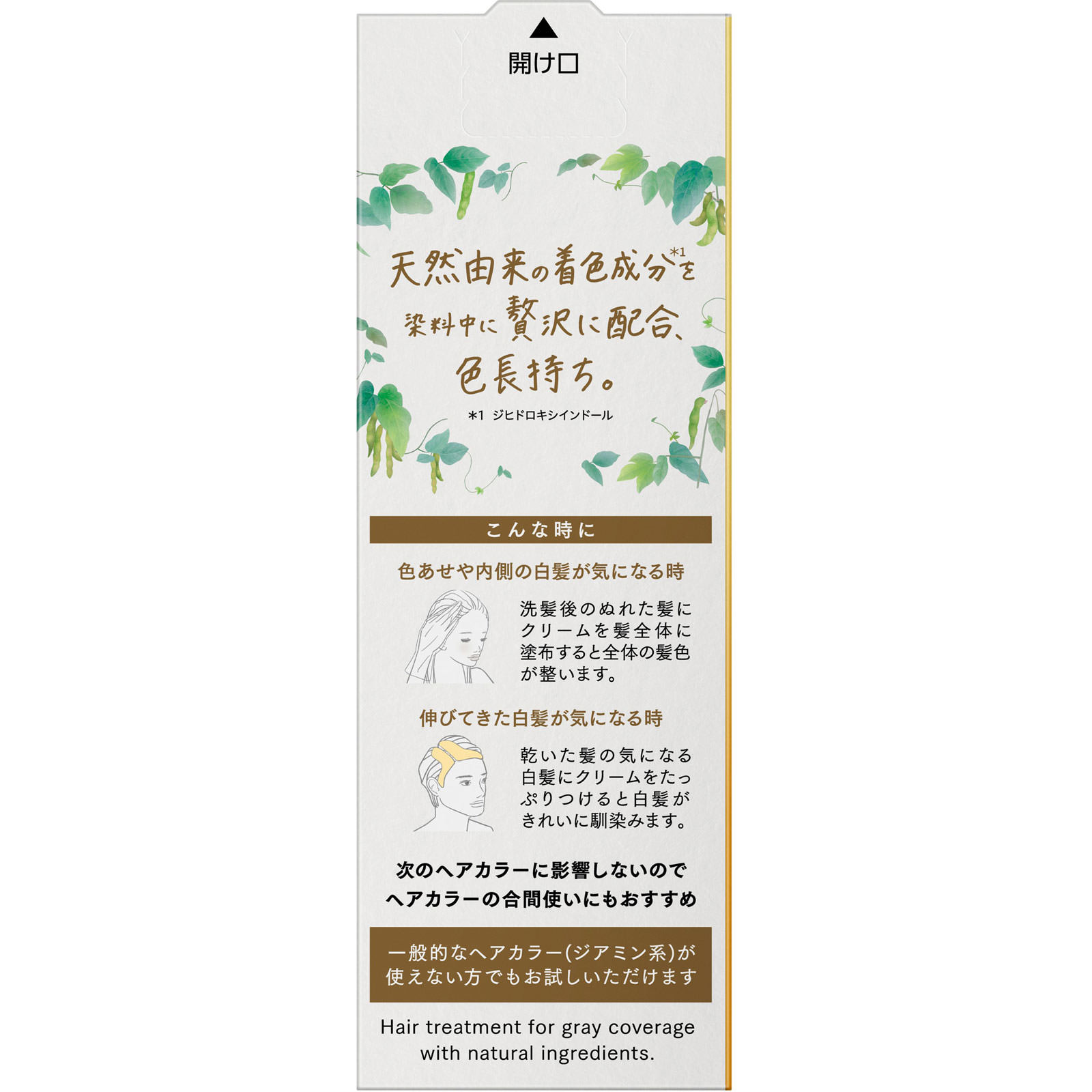 ブローネ ナチュリラ 色長持ちカラートリートメント ダークブラウン つけかえ １５５ｇ 花王
