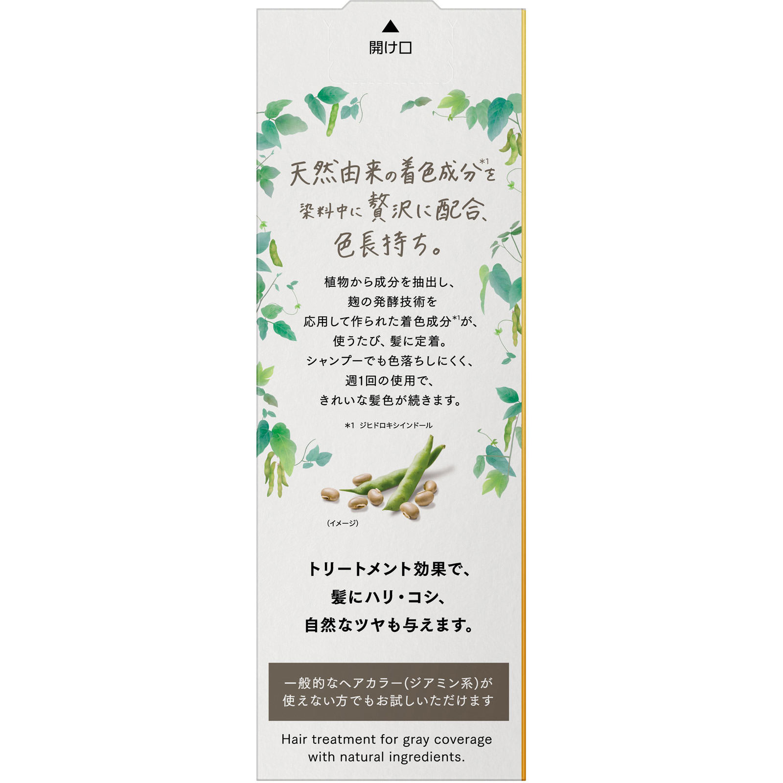 ブローネ ナチュリラ カラートリートメント アッシュブラウン本体 １５５ｇ 花王