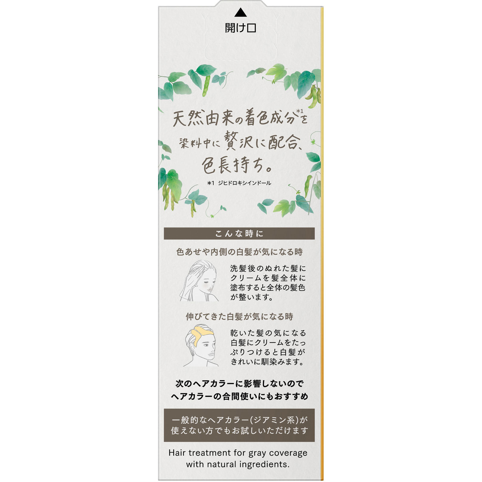 ブローネ ナチュリラ カラートリートメント アッシュブラウン付替 １５５ｇ 花王