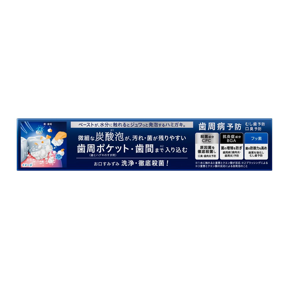 ピュオーラ 炭酸ハミガキ 95g 花王 (医薬部外品)