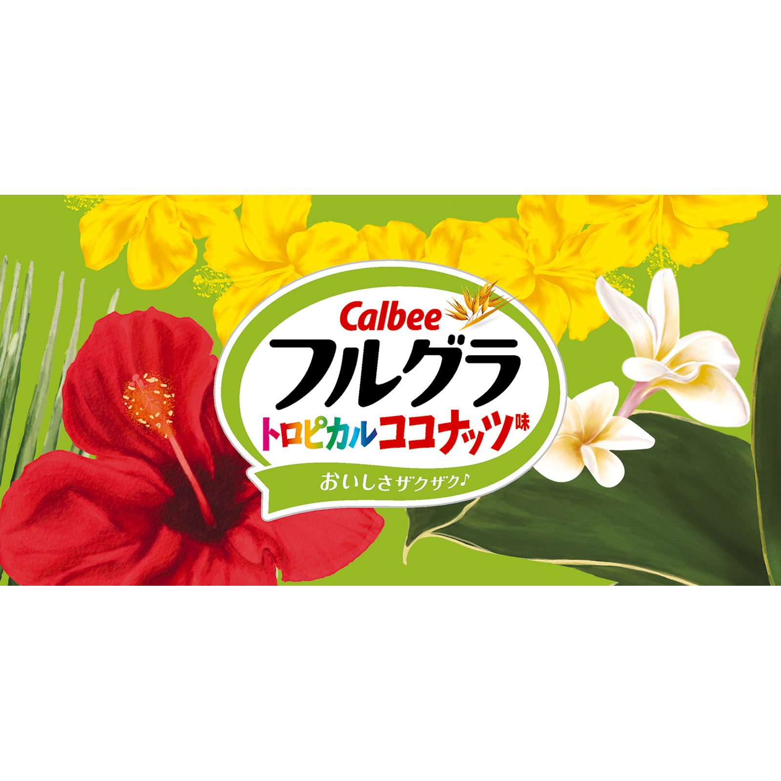 フルグラトロピカルココナッツ味 ５５０ｇ カルビー