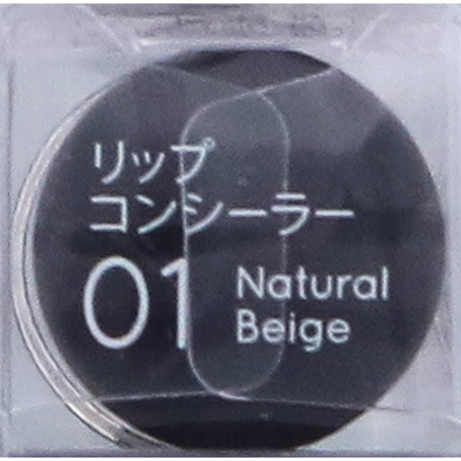 キス リップコンシーラーＮナチュラルベージュカラー ３．２ｇ 伊勢半