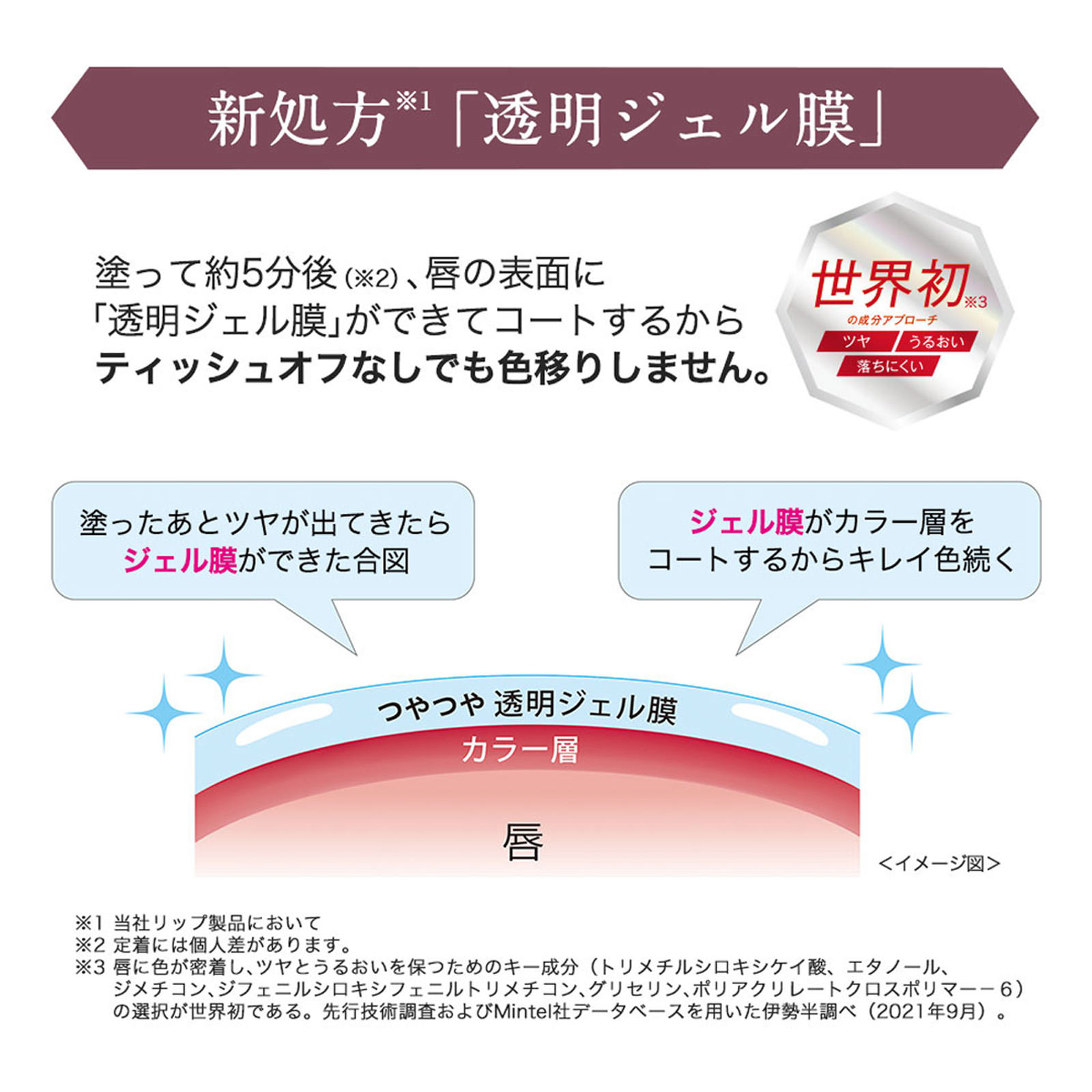 キス リップアーマー 肉球アプリコット ５ｇ 伊勢半