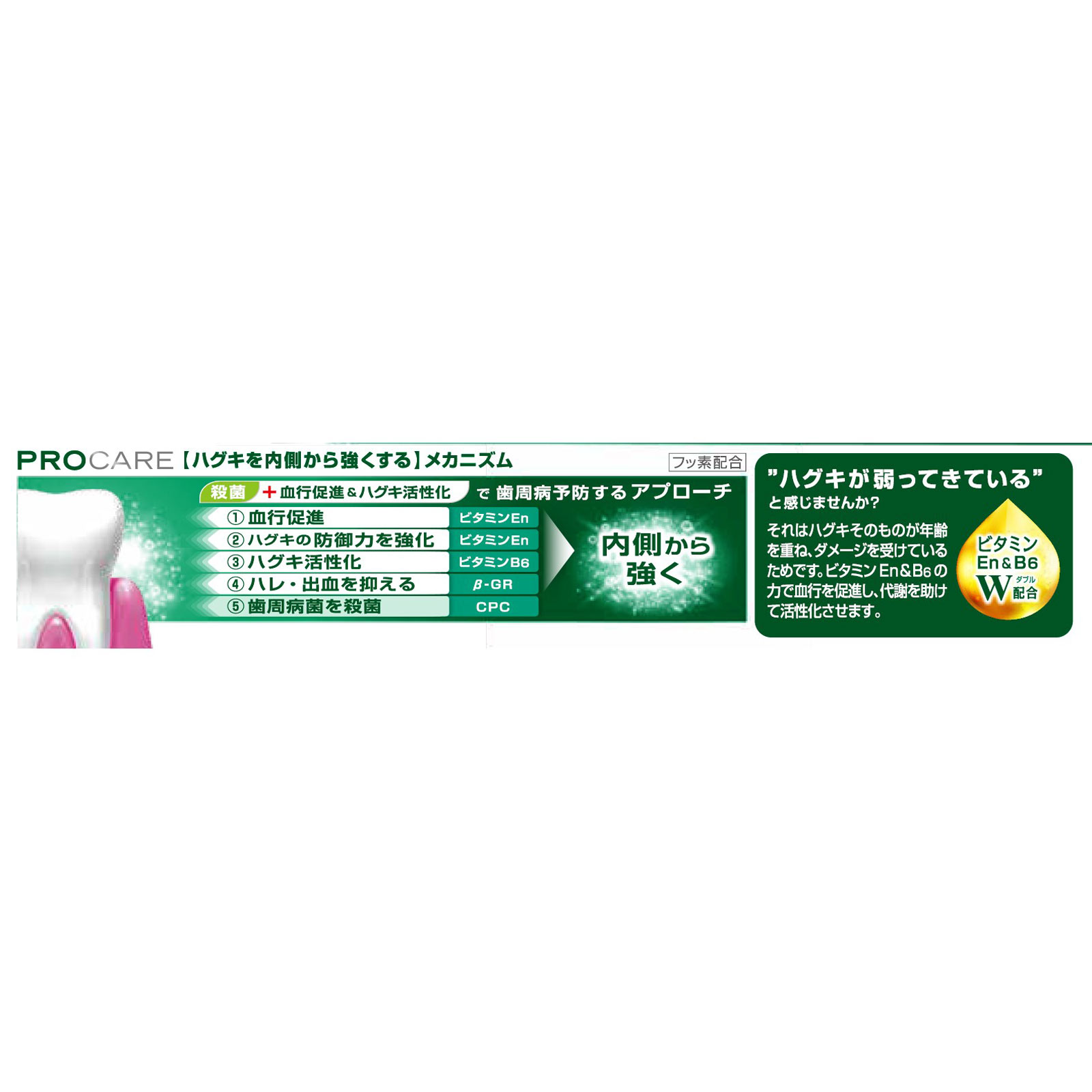 ガム歯周プロケア ペースト ９０ｇ サンスター (医薬部外品)