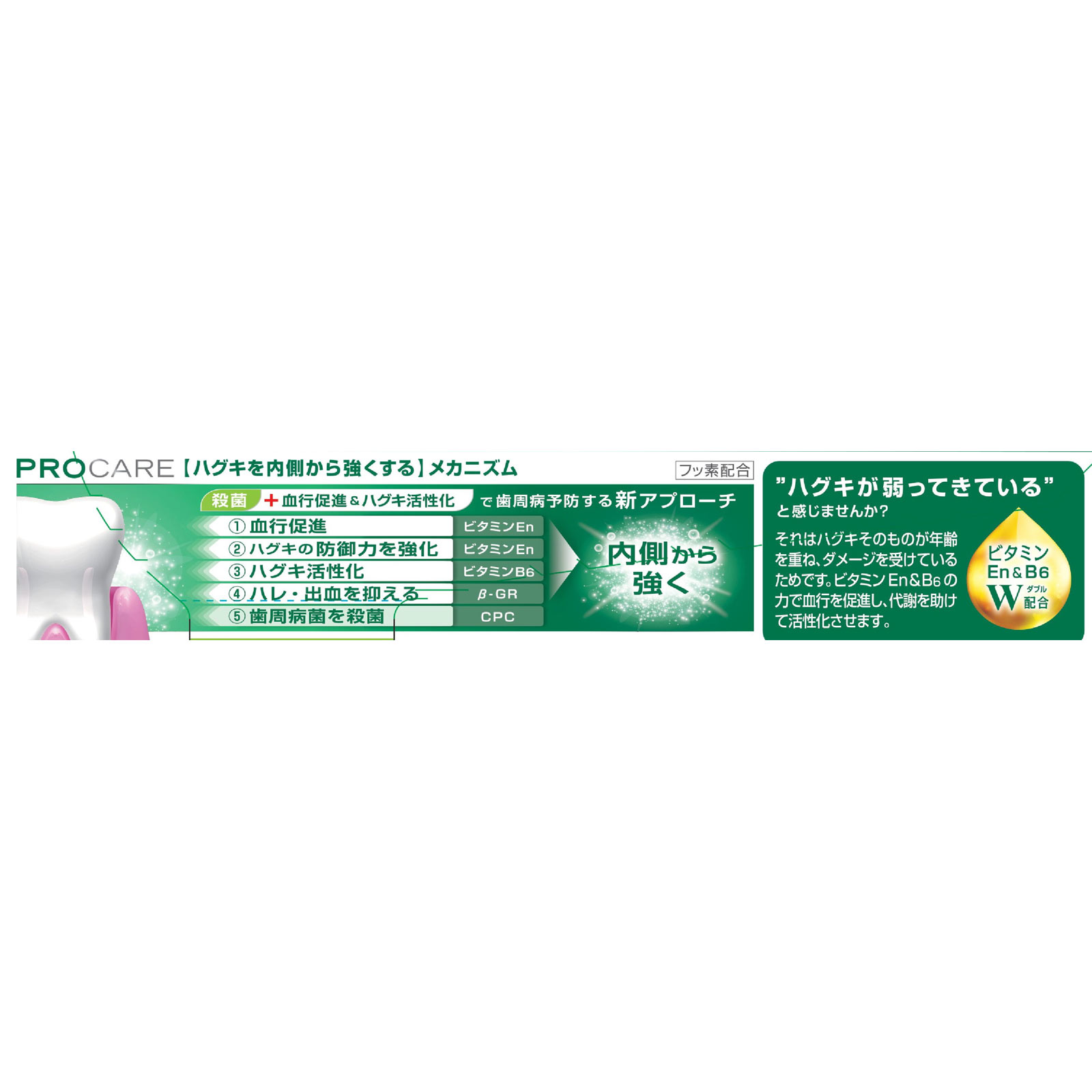 ガム歯周プロケア ペースト ９０ｇ サンスター (医薬部外品)