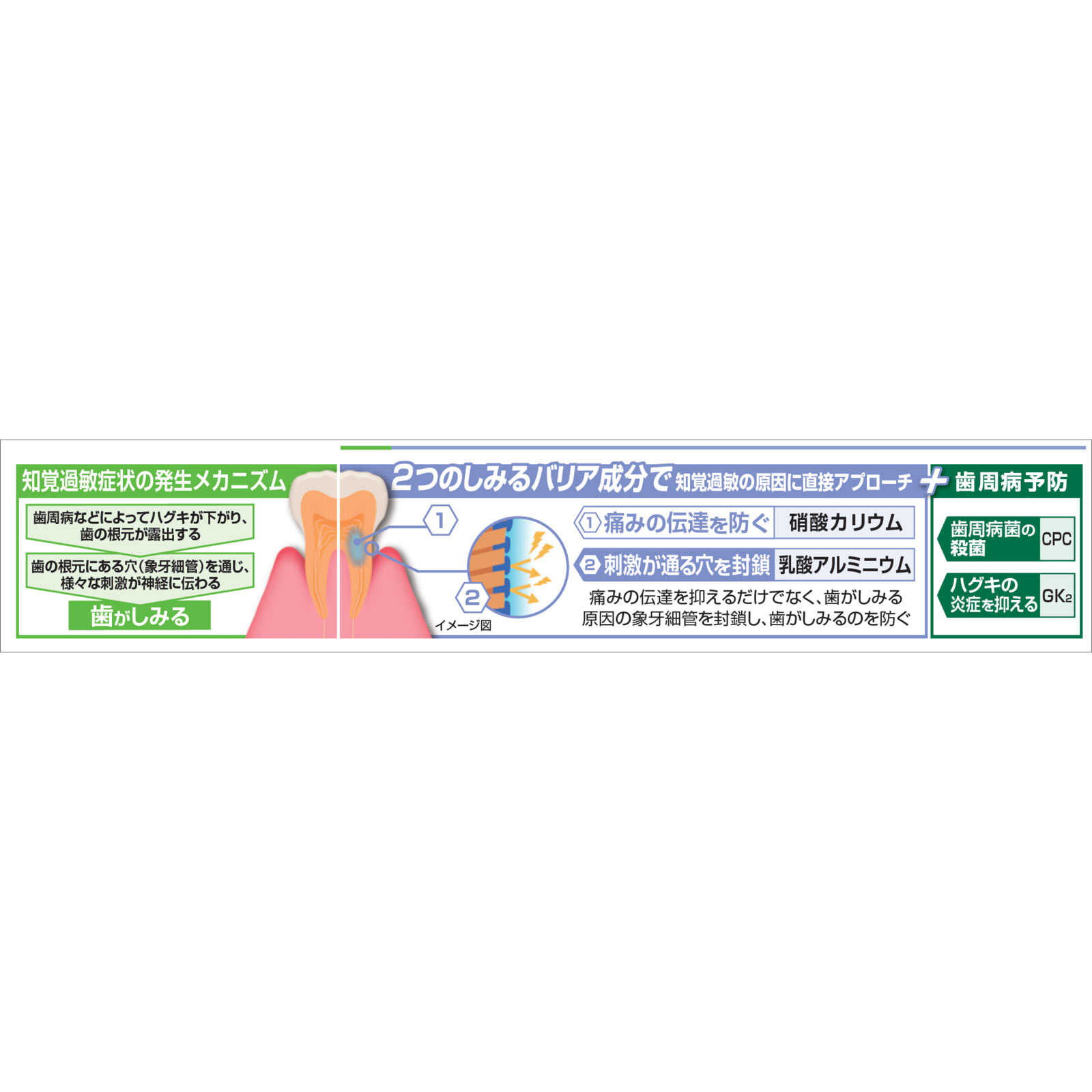 ガム知覚過敏ラボデンタルペースト　マイルドハーブ ９０ｇ サンスター (医薬部外品)