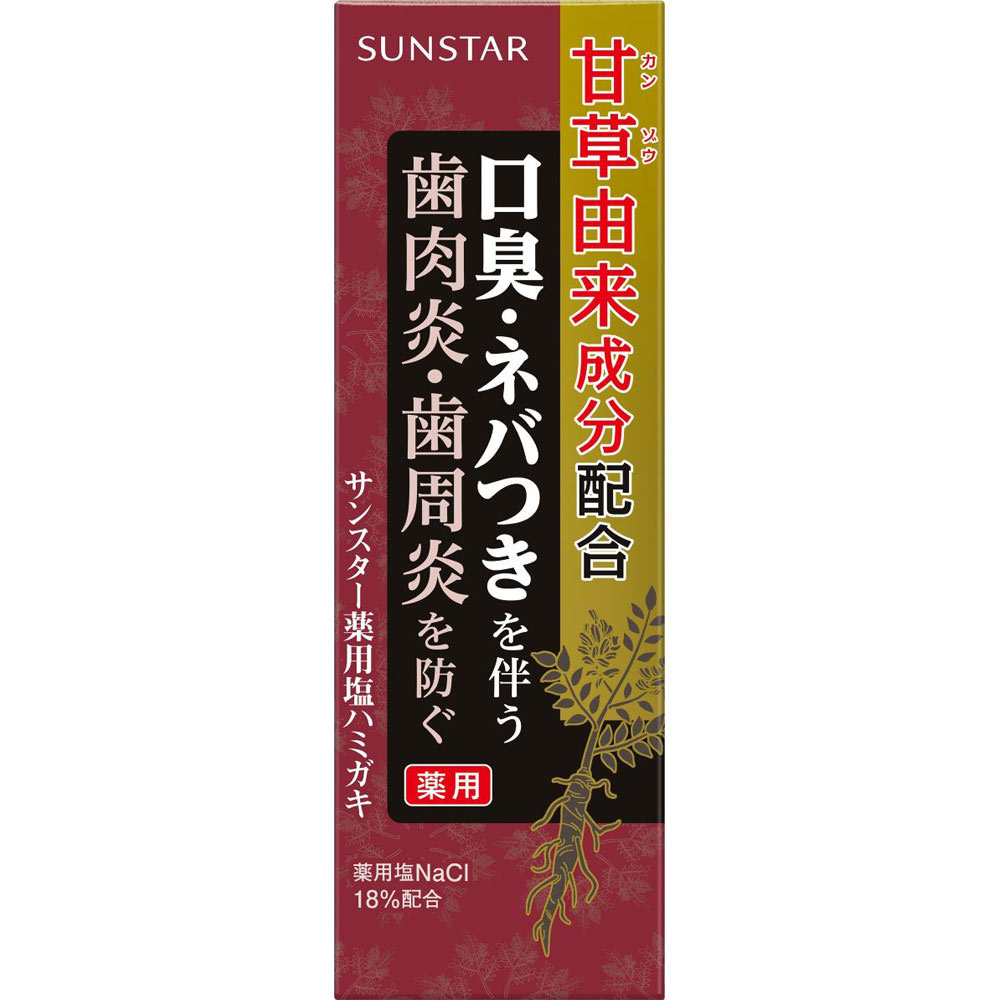 薬用塩ハミガキ スパイシーミントタイプ ８５ｇ サンスター (医薬部外品)