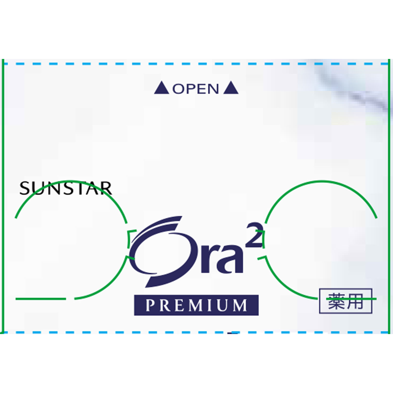 オーラツープレミアム　ステインクリアペースト　プレミアムミント １００ｇ サンスター (医薬部外品)