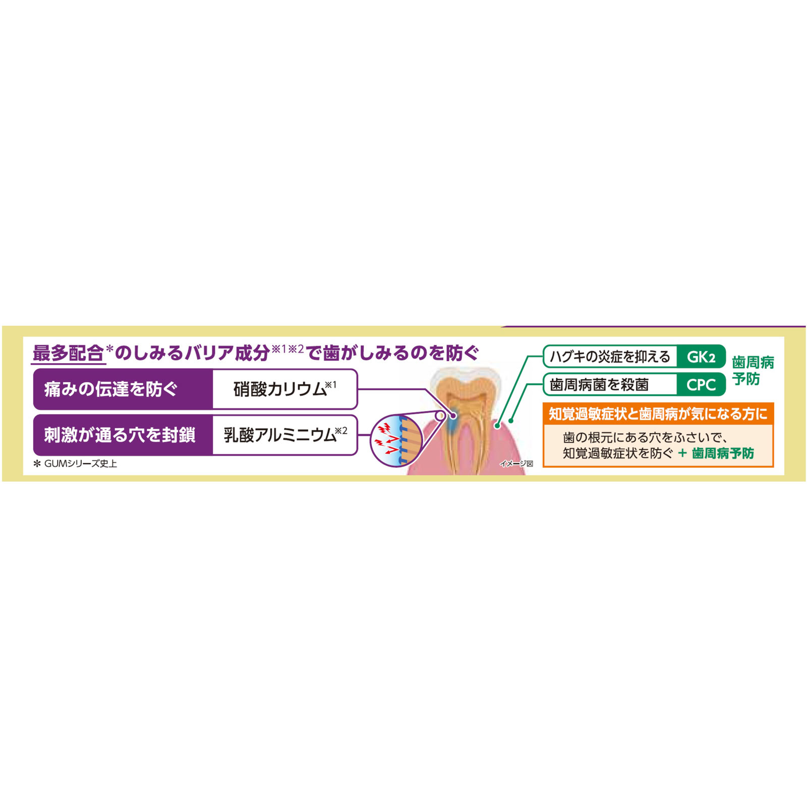 ガム・プレミアムペースト知覚過敏ケアシトラス 90g サンスター (医薬部外品)