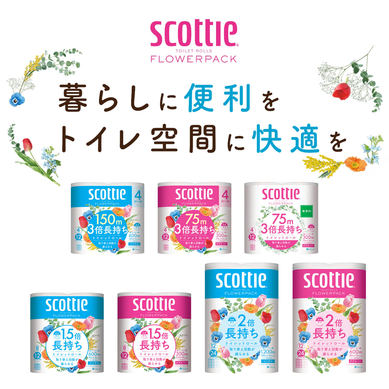 スコッティフラワーパック３倍長持ち４Ｒ ダブル 無香 ７５ｍ 日本製紙クレシア