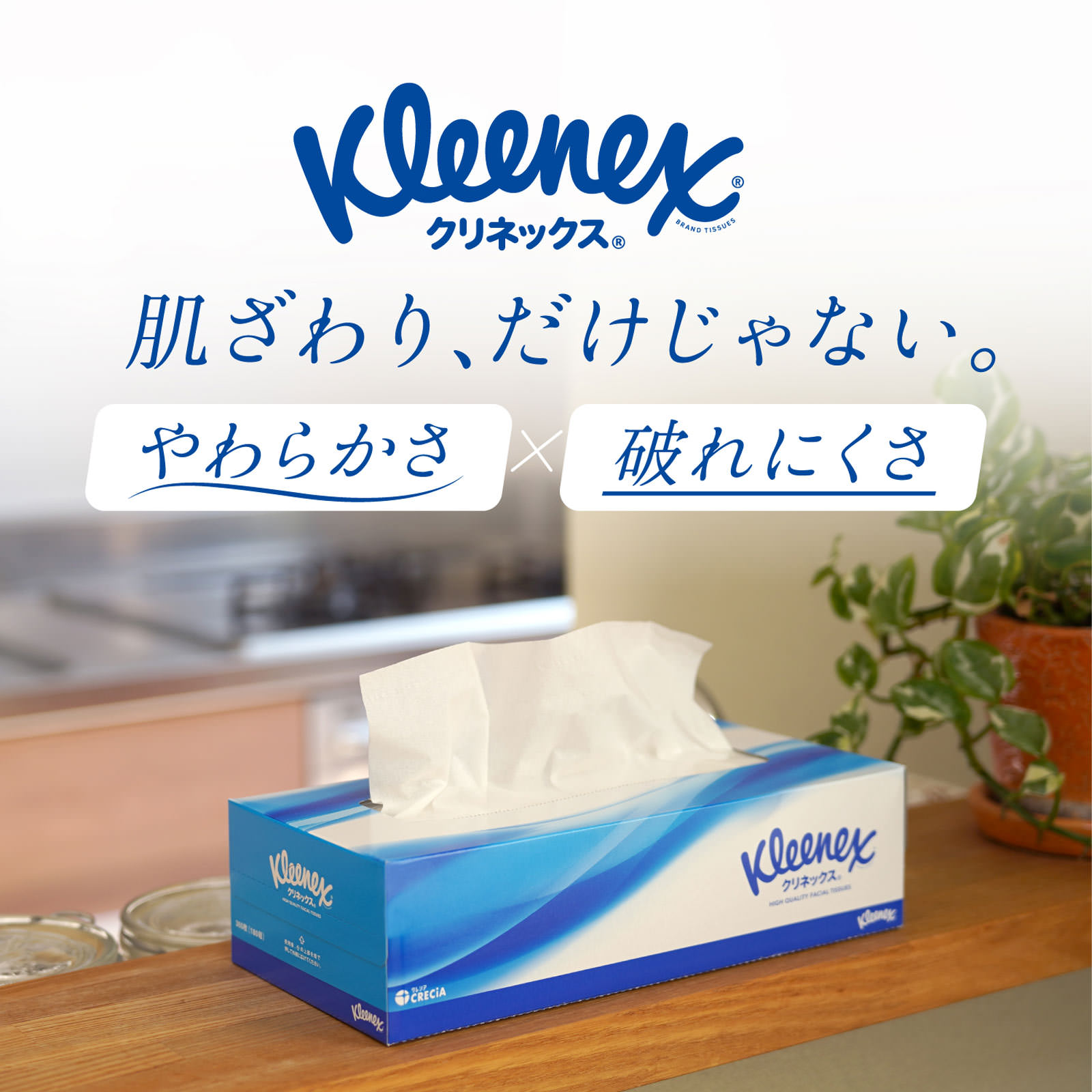 クリネックス ティシュー ５箱パック １８０組 日本製紙クレシア