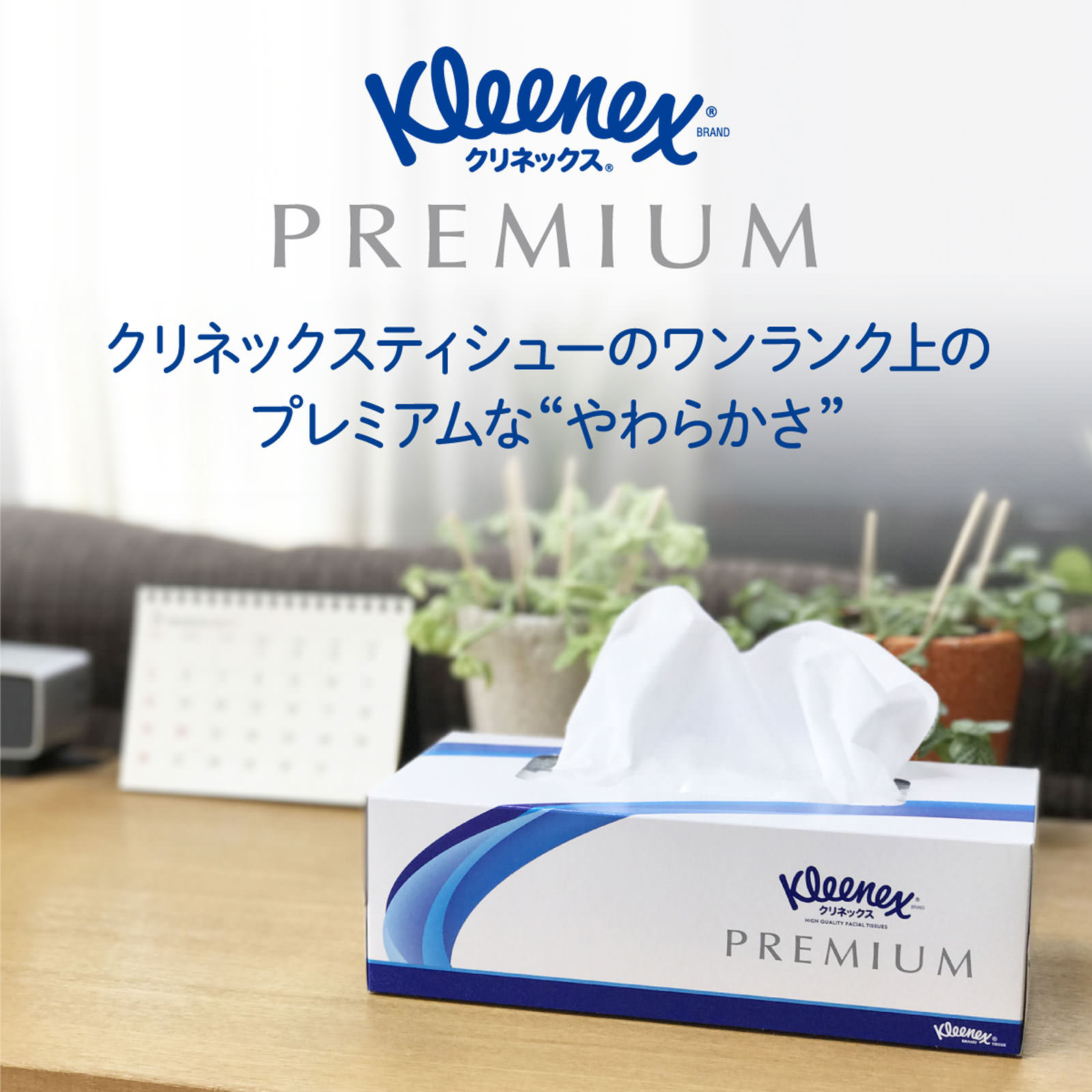 クリネックスティシュ プレミアム ３個パック １６０組 日本製紙クレシア