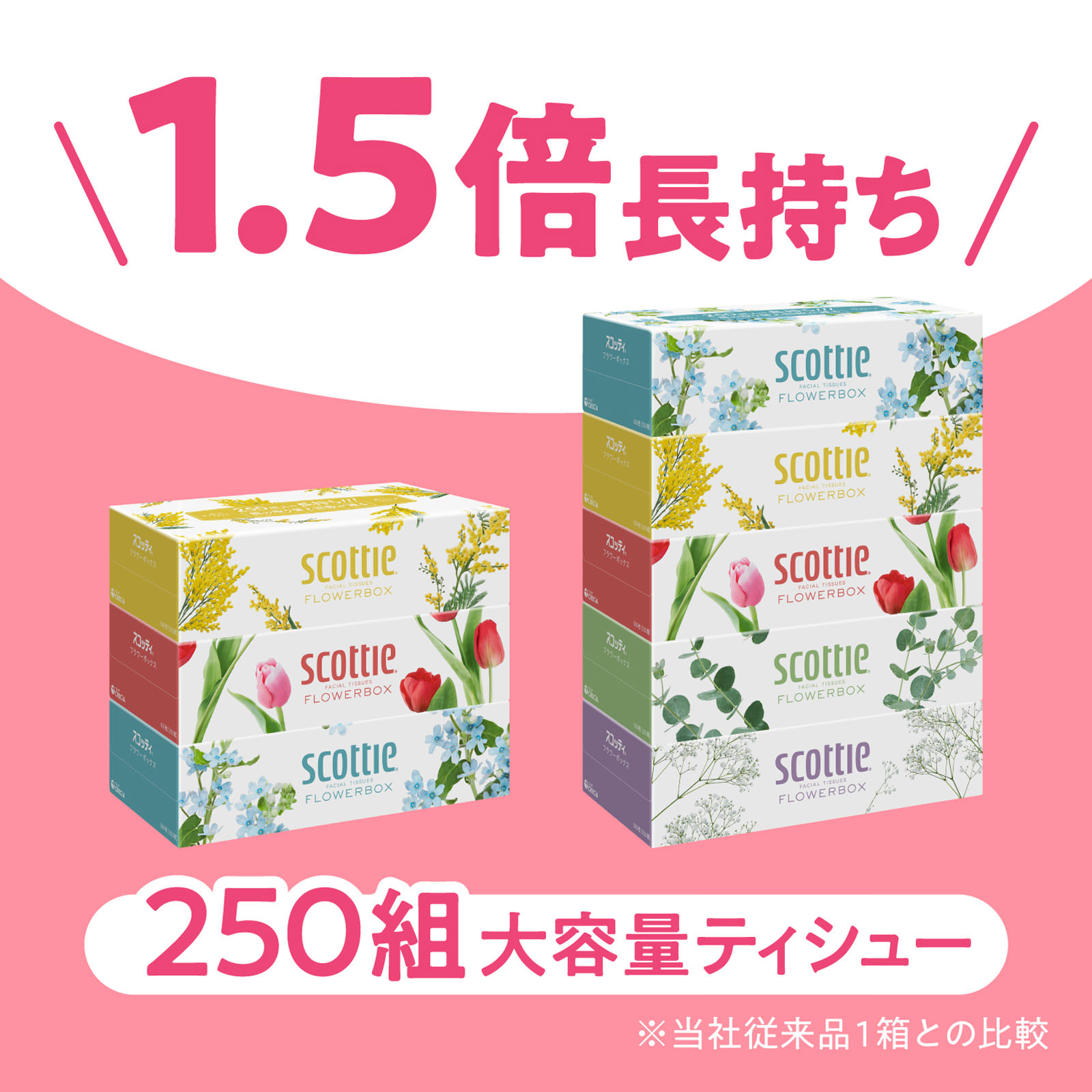 スコッティ　フラワーボックスティシュー ２５０組 日本製紙クレシア