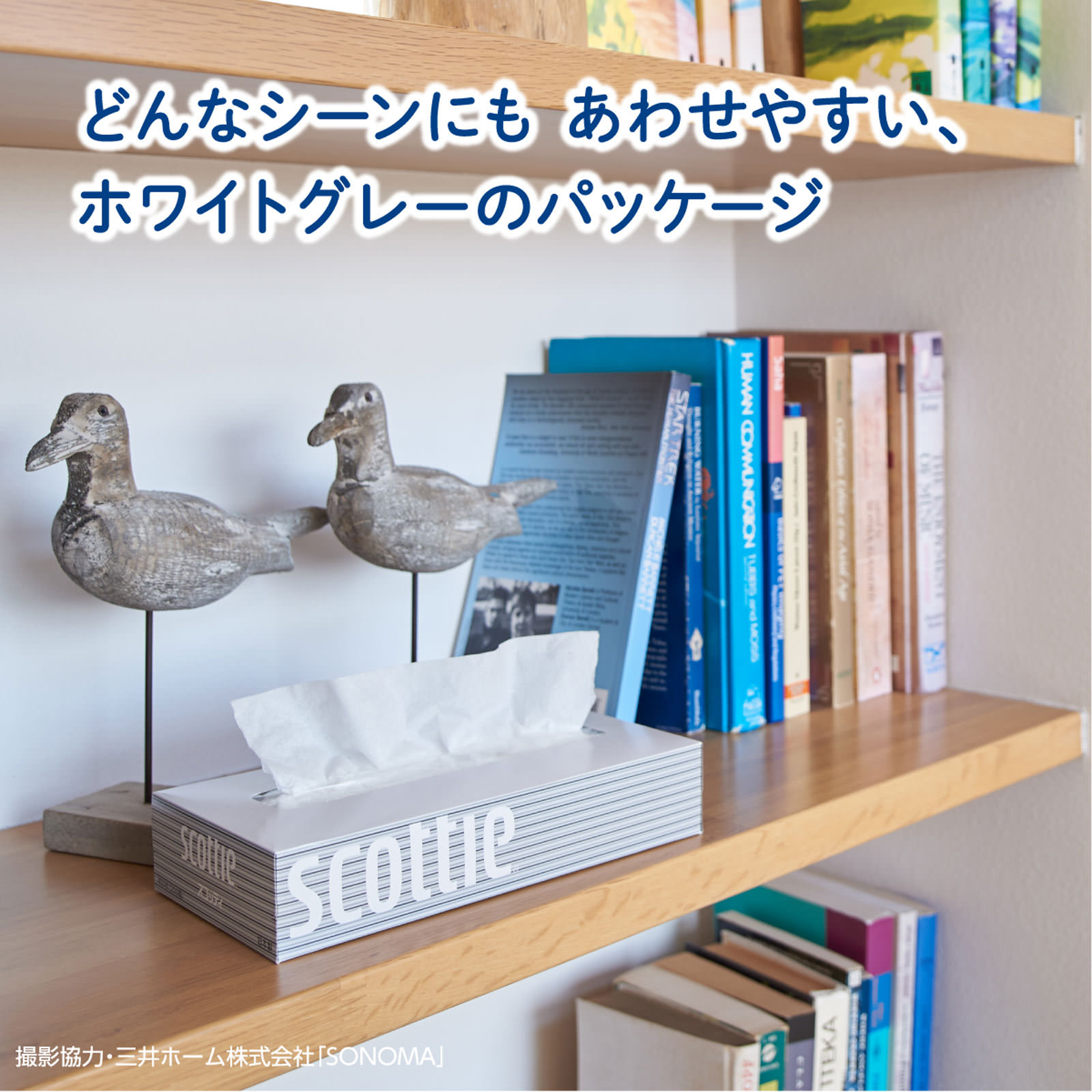 スコッティ ティシュー　５箱パック ２００組 日本製紙クレシア
