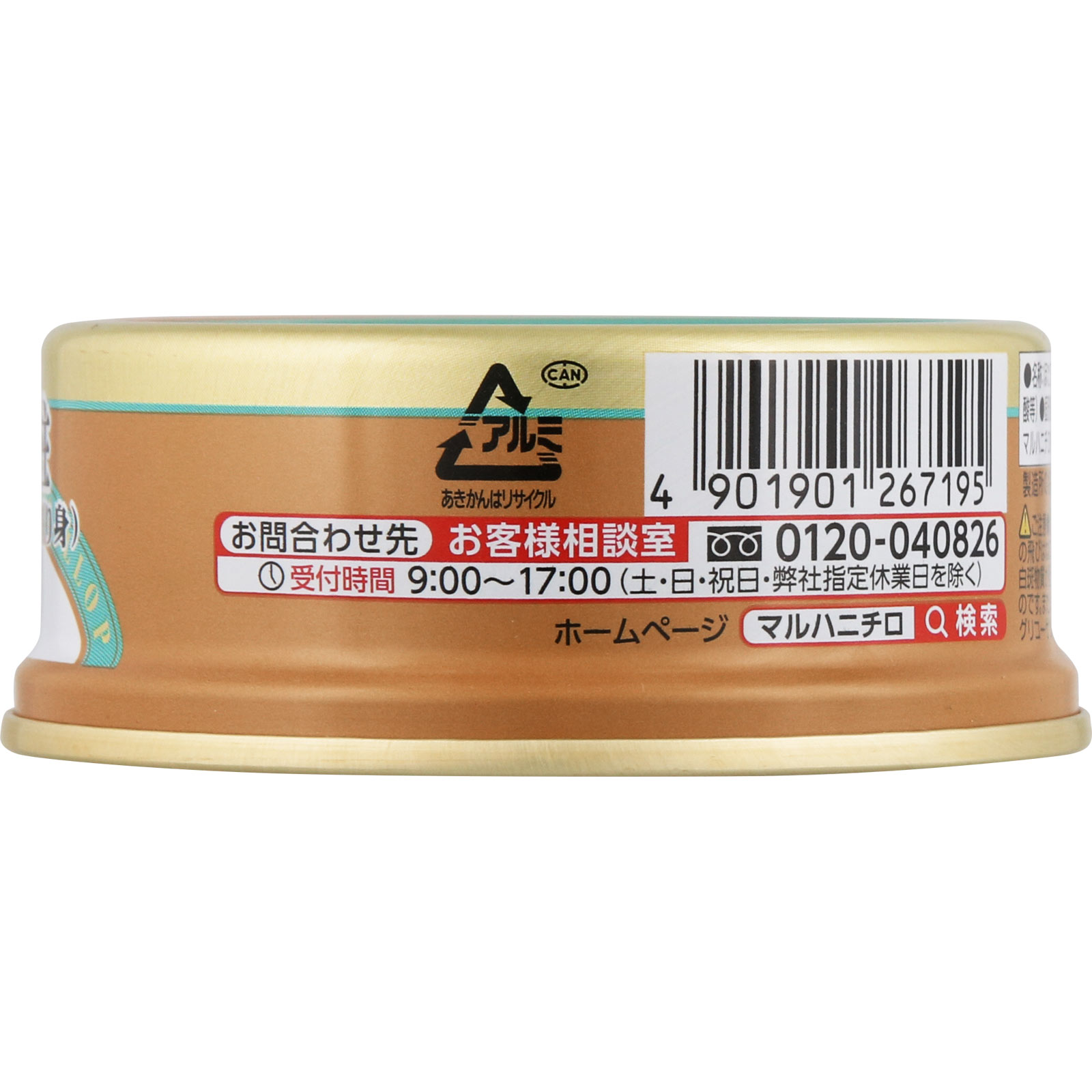 週末限定半額セール 貝類標本　 ニッポンダカラ 28000円→14000円 2025年新物 噴火湾産ほたて片貝 7cm-8cm 15枚 – きゅういち