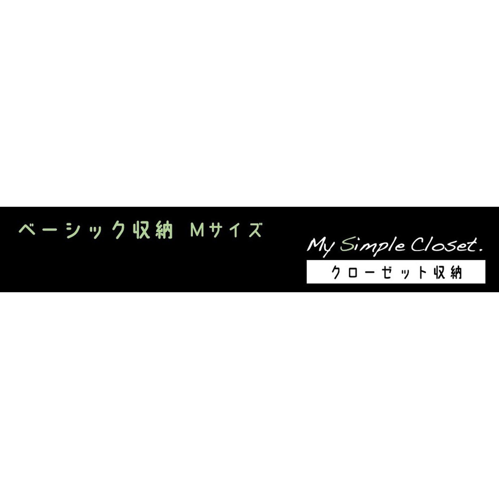 ＭＳＣベーシック収納 Ｍ １個 東和産業