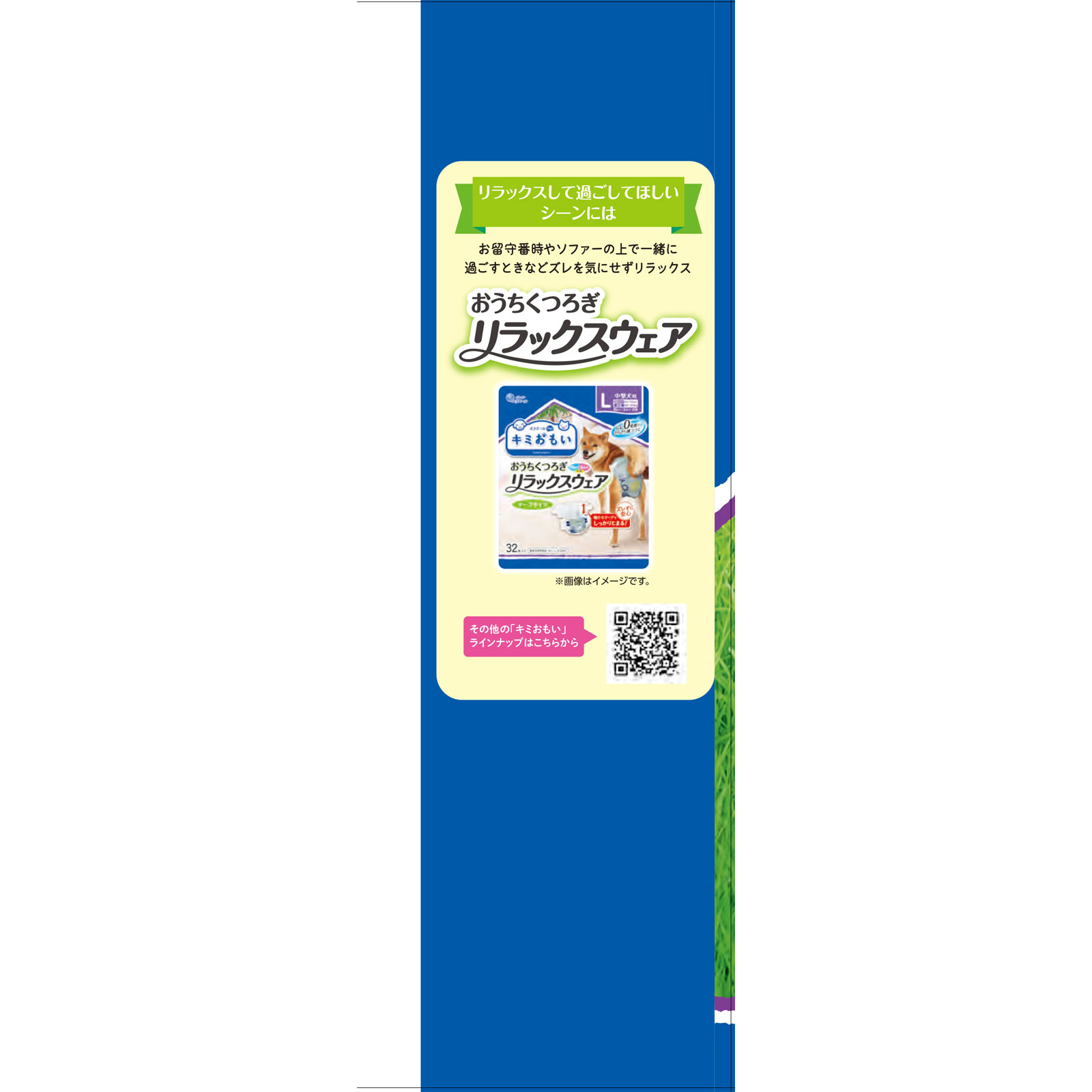 キミおもい アクティブウェアLゆったり 20枚 大王製紙