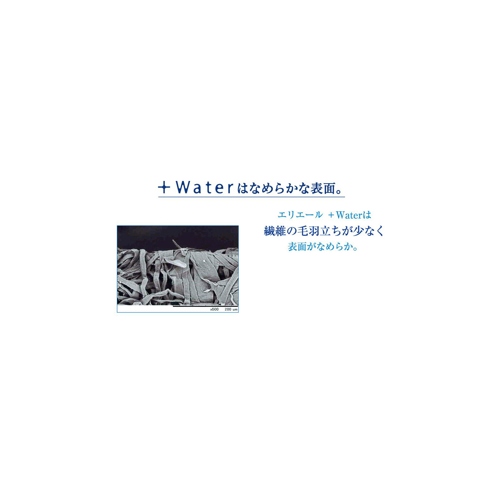エリエール+Water(ポケット) 14W4P 大王製紙