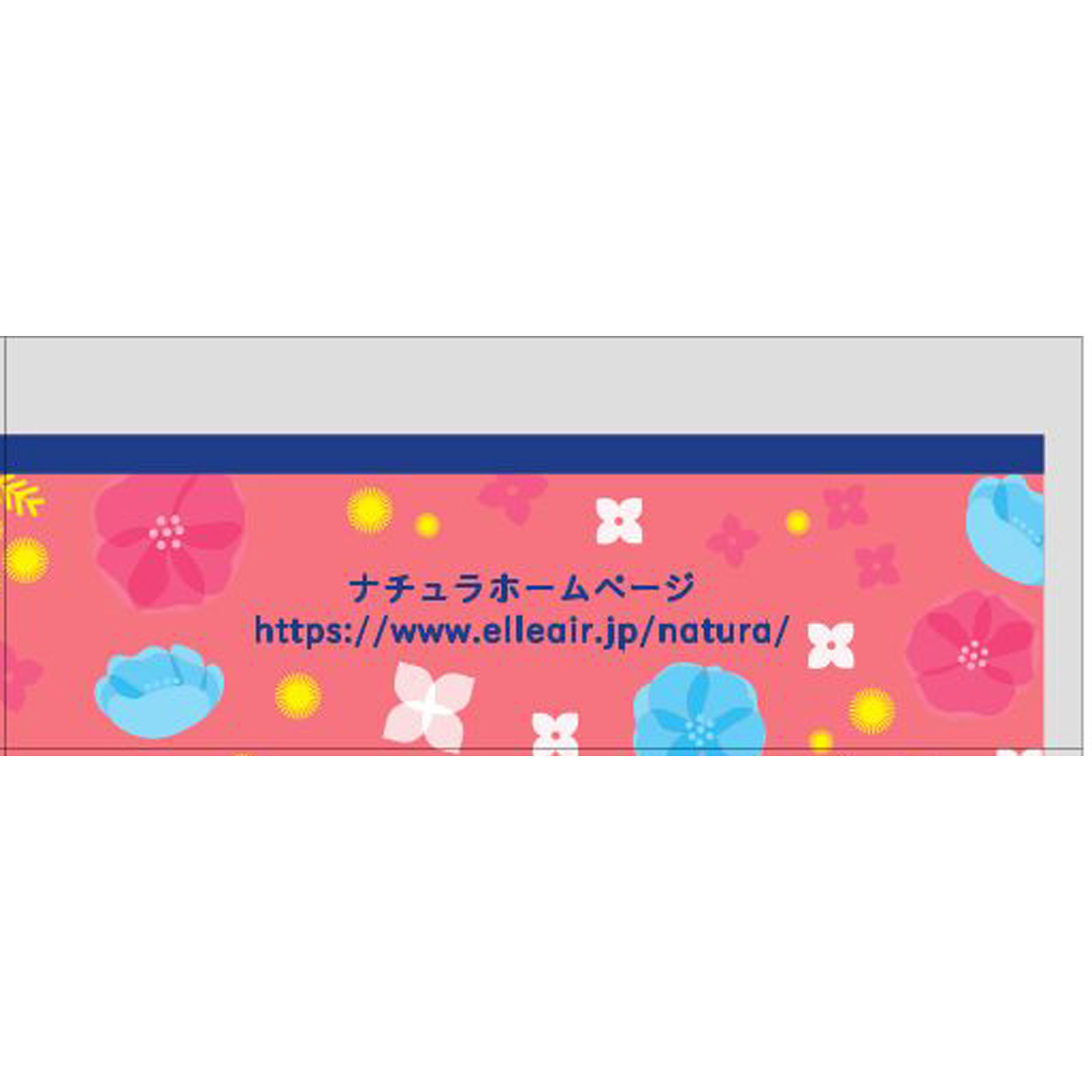 エリス ナチュラ吸水ナプキン ２０．５ｃｍ３０ｃｃ ２４枚 大王製紙 (医薬部外品)