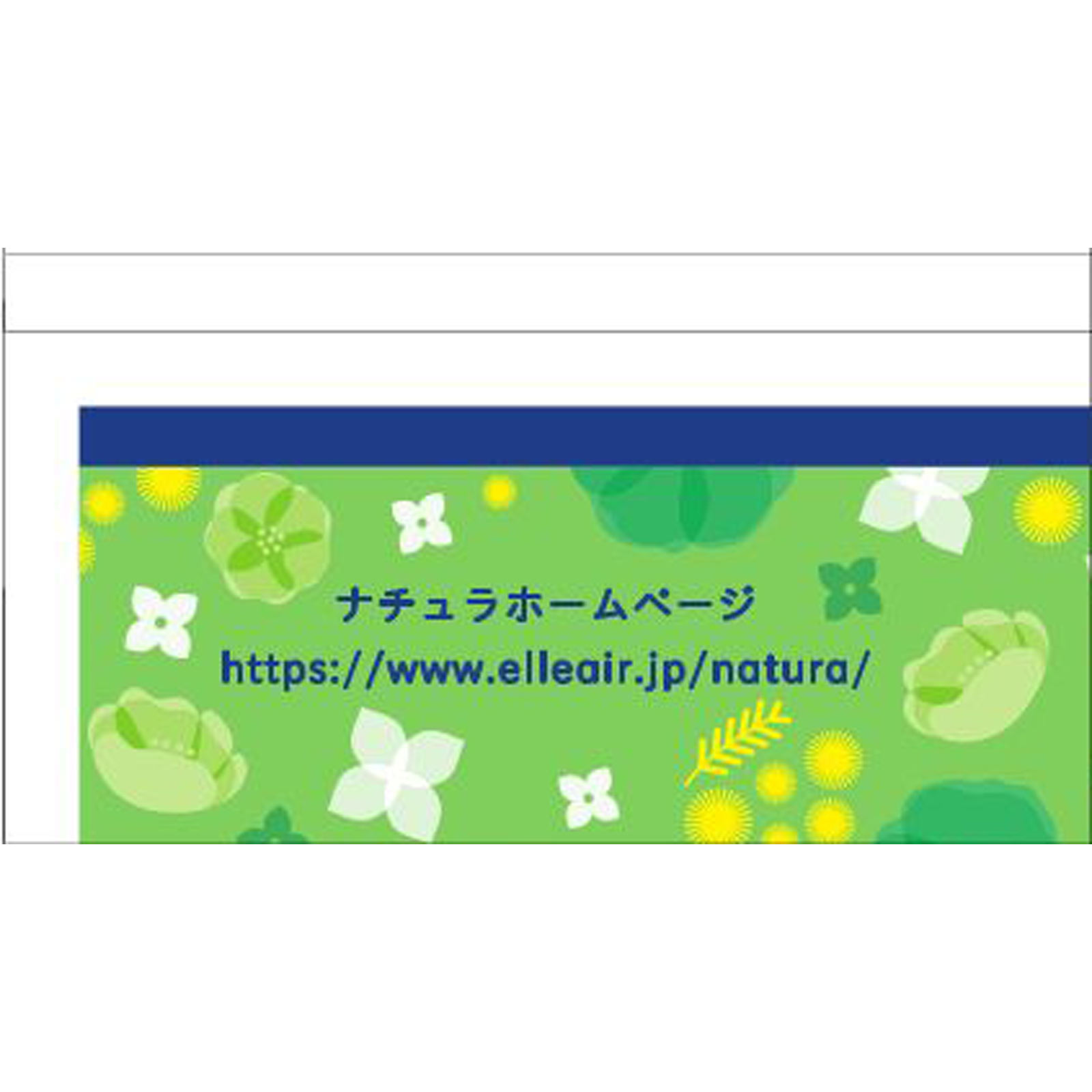 エリス ナチュラコットン吸水パンティライナー １０ｃｃ ２４枚 大王製紙 (医薬部外品)