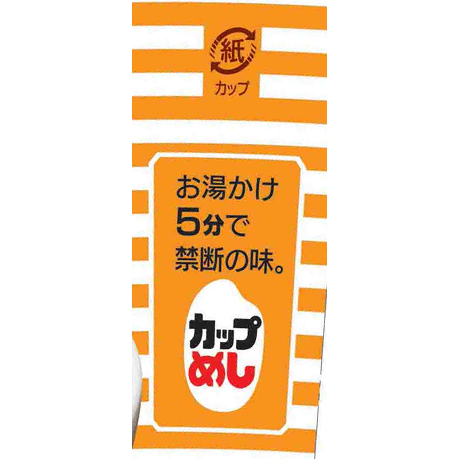 チキンラーメン ぶっこみ飯 ７７ｇ 日清食品
