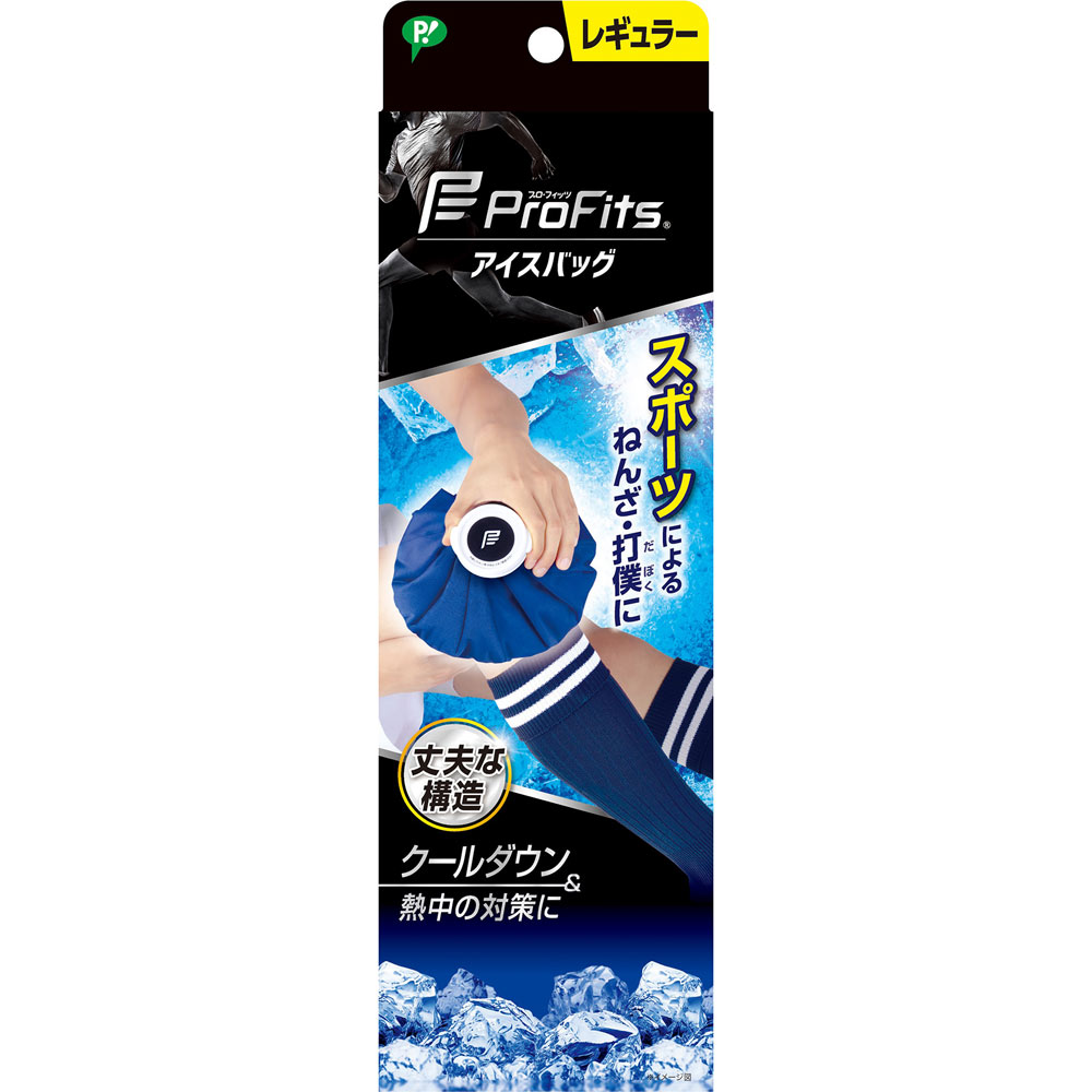 ピップスポーツ アイスバッグ レギュラー １個 ピップフジモト